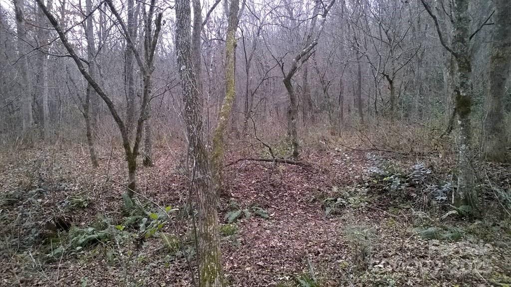 0 Bayberry Cove Road Sylva, NC 28779 - Photo 4 of 4 Gallery Image 4