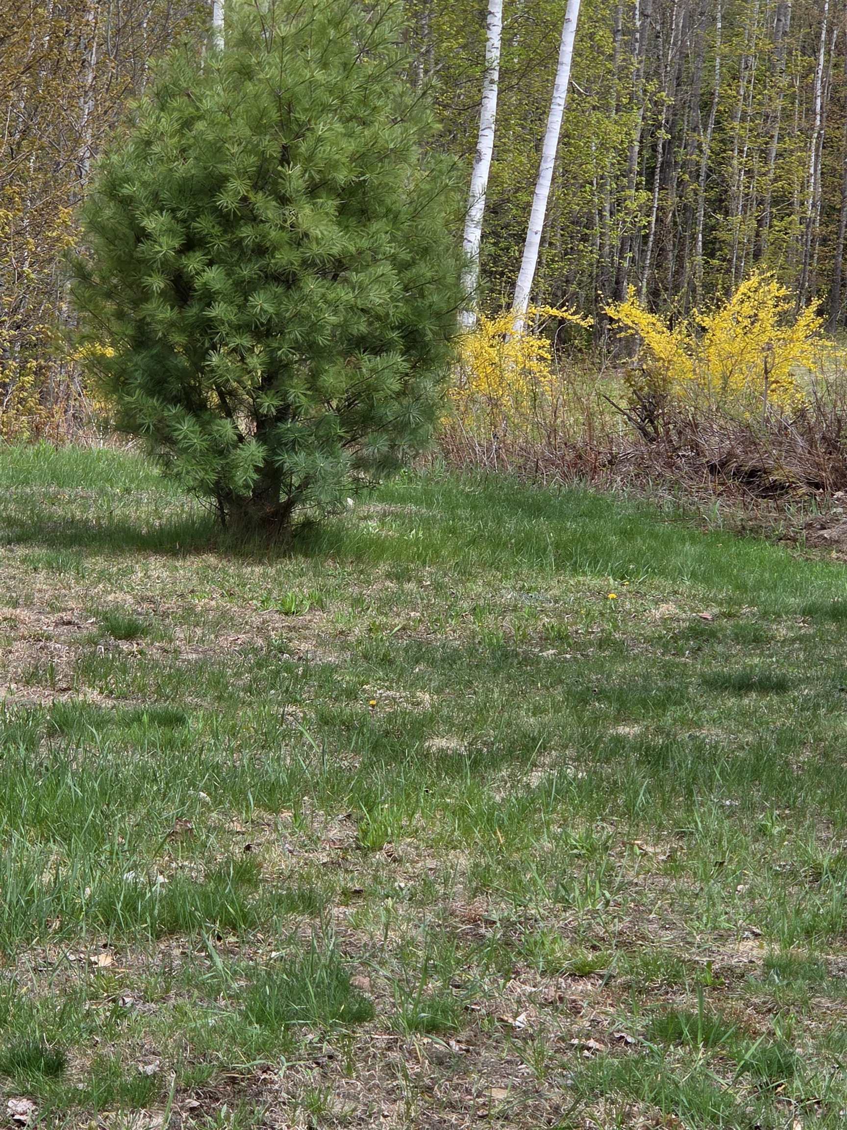 15 Antler Road Campton, NH 03223 - Photo 39 of 60