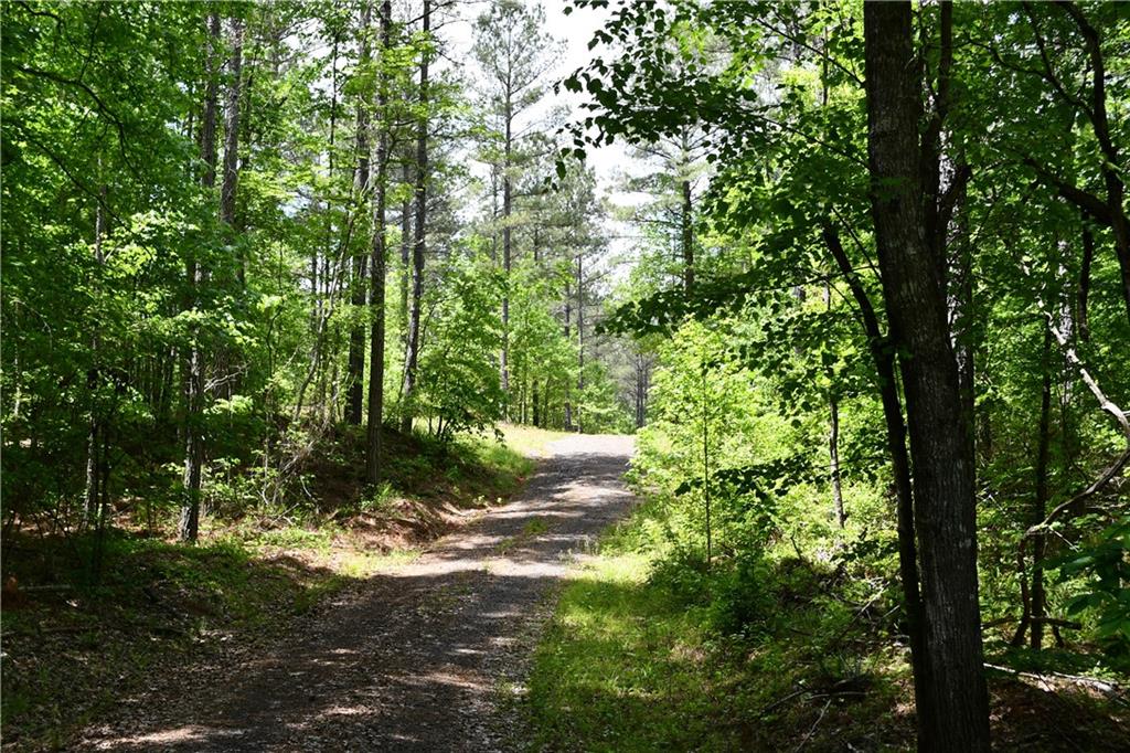 1 Wilson Road Temple, GA 30179 - Photo 43 of 88 a view of outdoor space and trees all around
