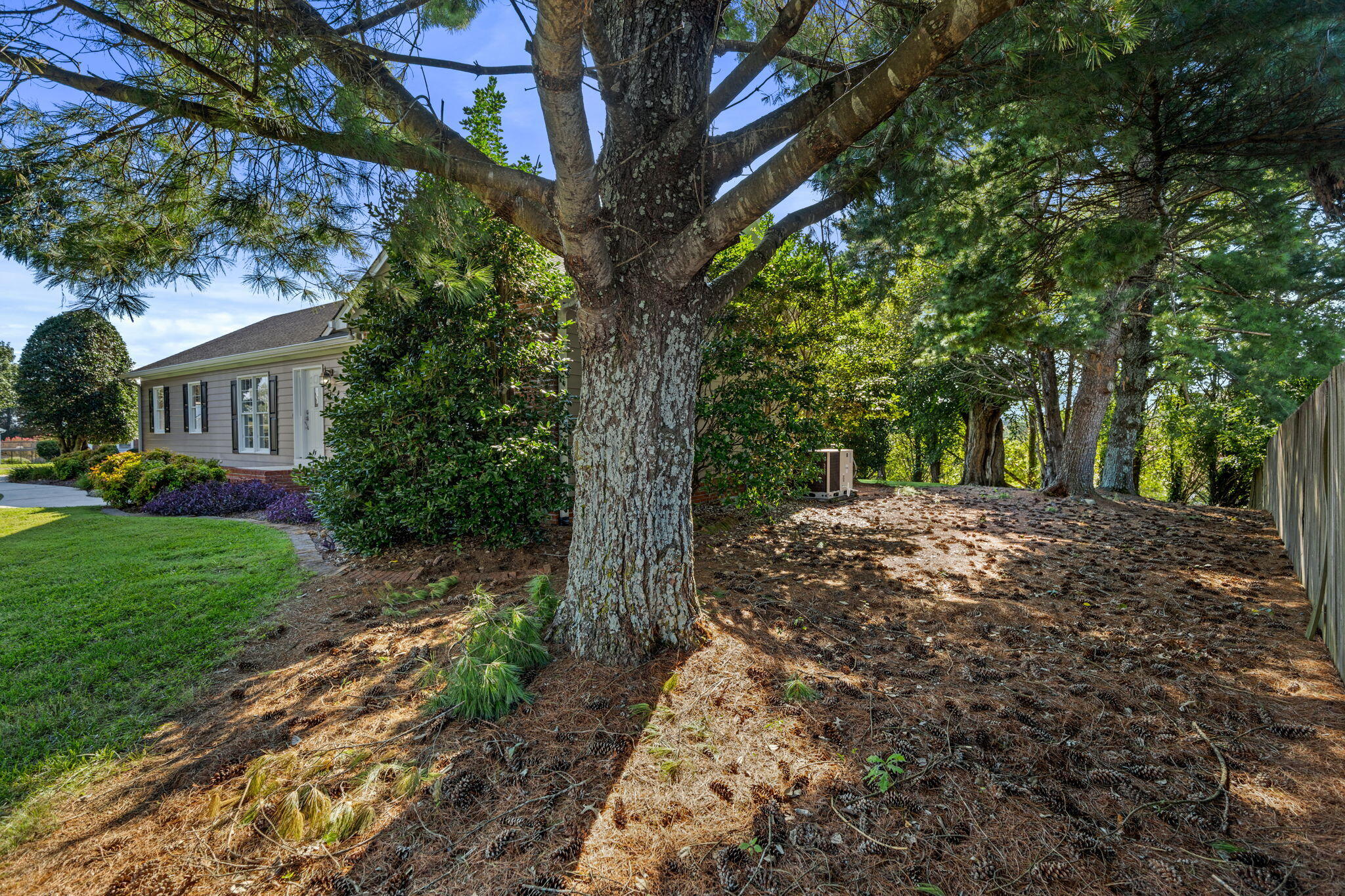 3365 Michigan Ave Road Northeast Cleveland, TN 37323 - Photo 33 of 39 36-web-or-mls-146A9577