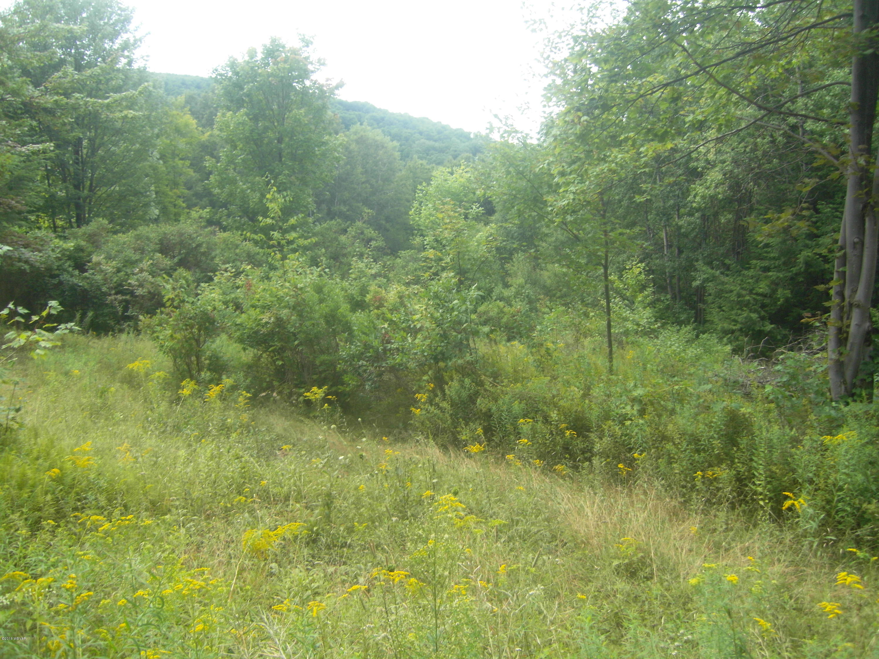 0 Old Farm Road Muncy Valley, PA 17758 - Photo 8 of 12 SDC14562