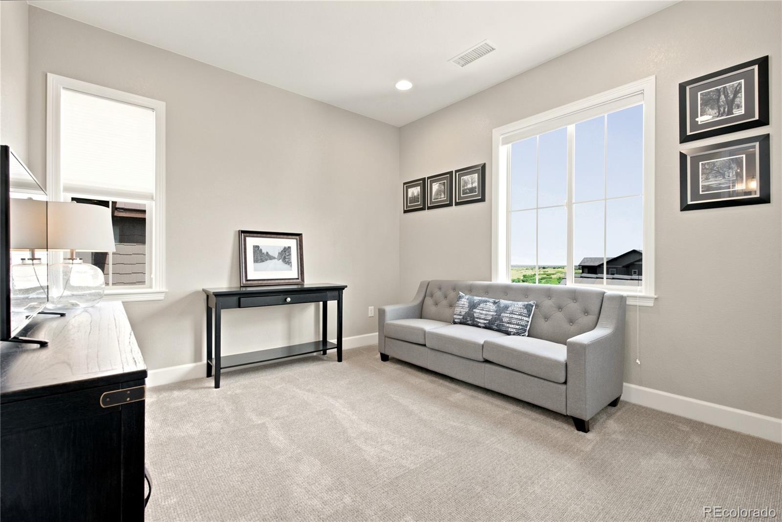 10879 Red Sun Court Highlands Ranch, CO 80126 - Photo 38 of 50