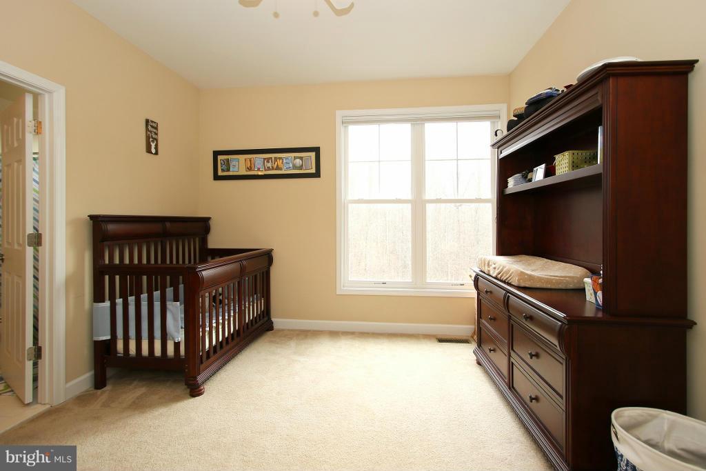 8318 Salem Ridge Road Marshall, VA 20115 - Photo 22 of 30 Bedroom