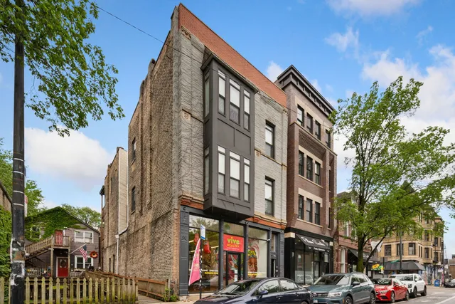 $1,600,000 | 965 West 18th Street, Chicago, IL 60608