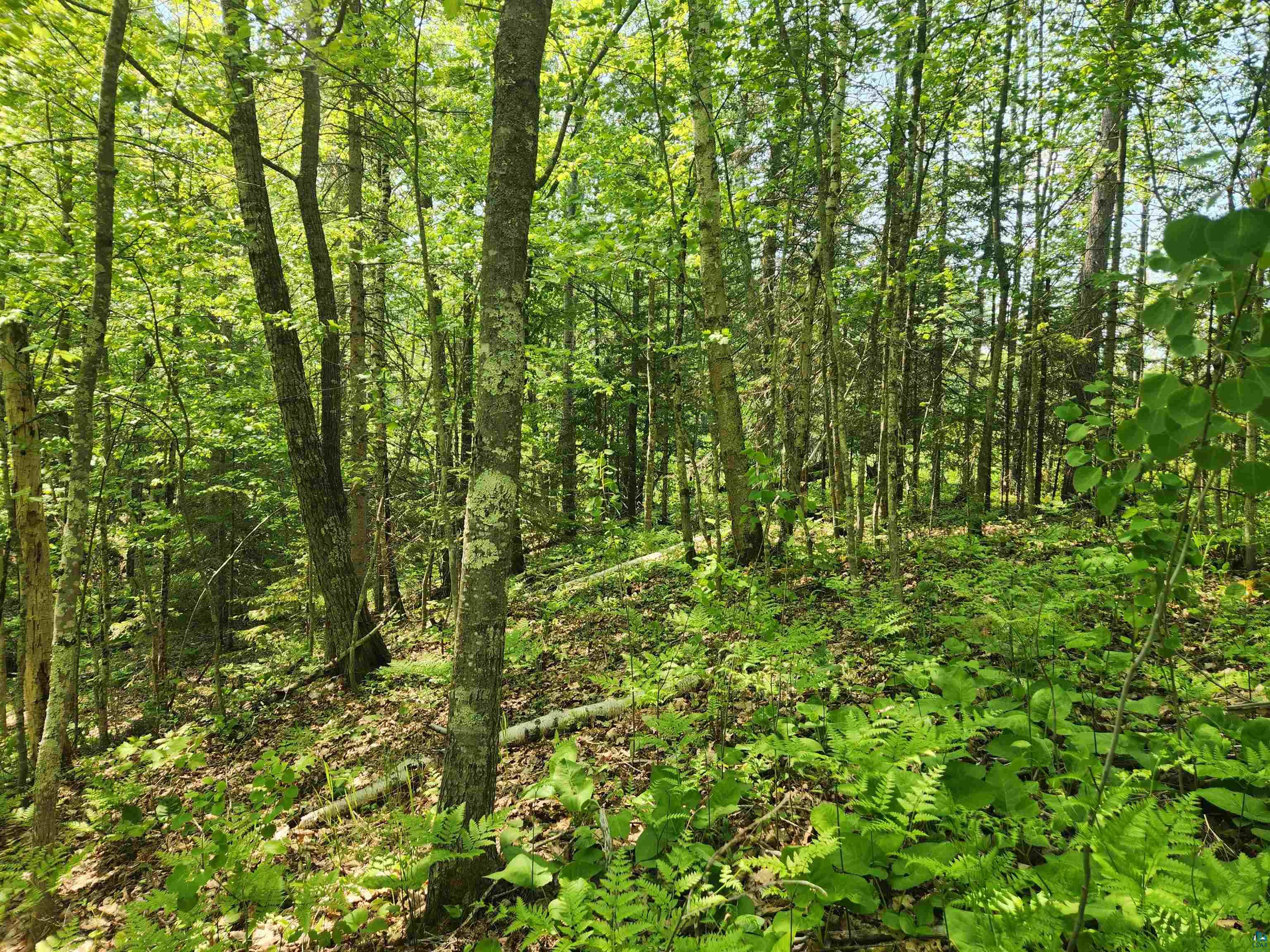 Xxx McCulloch Road Washburn, WI 54891 - Photo 14 of 33 Gallery Image 14