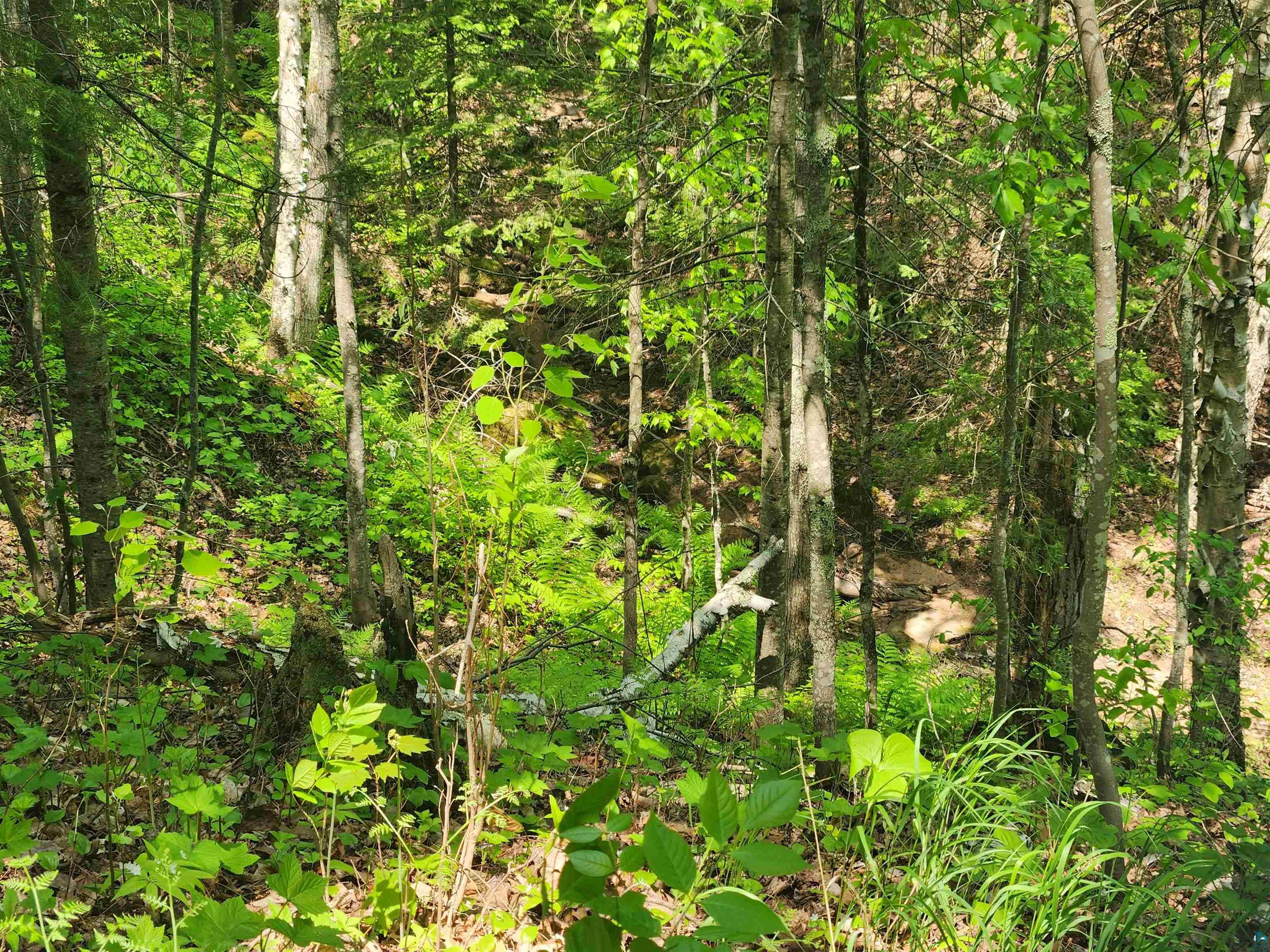 Xxx McCulloch Road Washburn, WI 54891 - Photo 17 of 33 Gallery Image 17