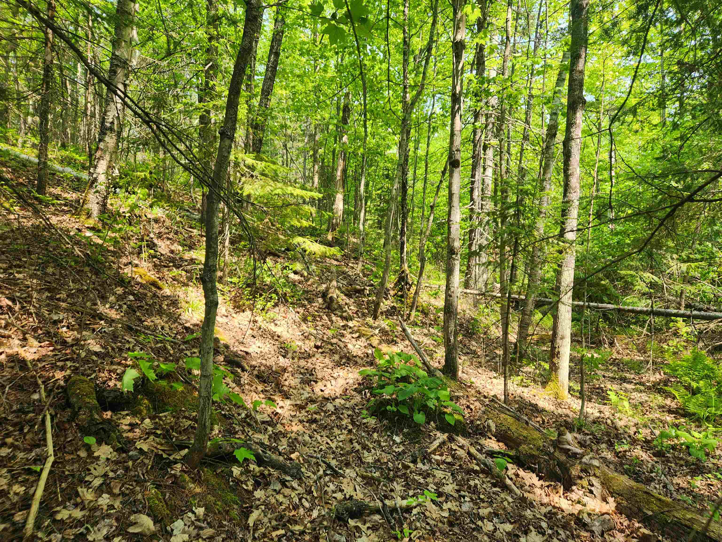 Xxx McCulloch Road Washburn, WI 54891 - Photo 2 of 33 Gallery Image 2