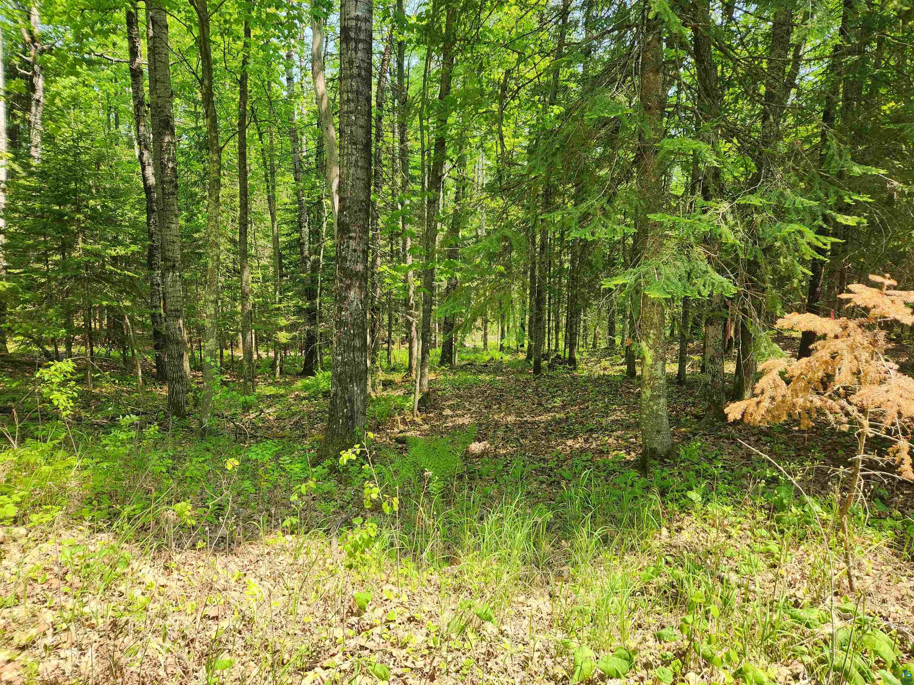 Xxx McCulloch Road Washburn, WI 54891 - Photo 26 of 33 Gallery Image 26
