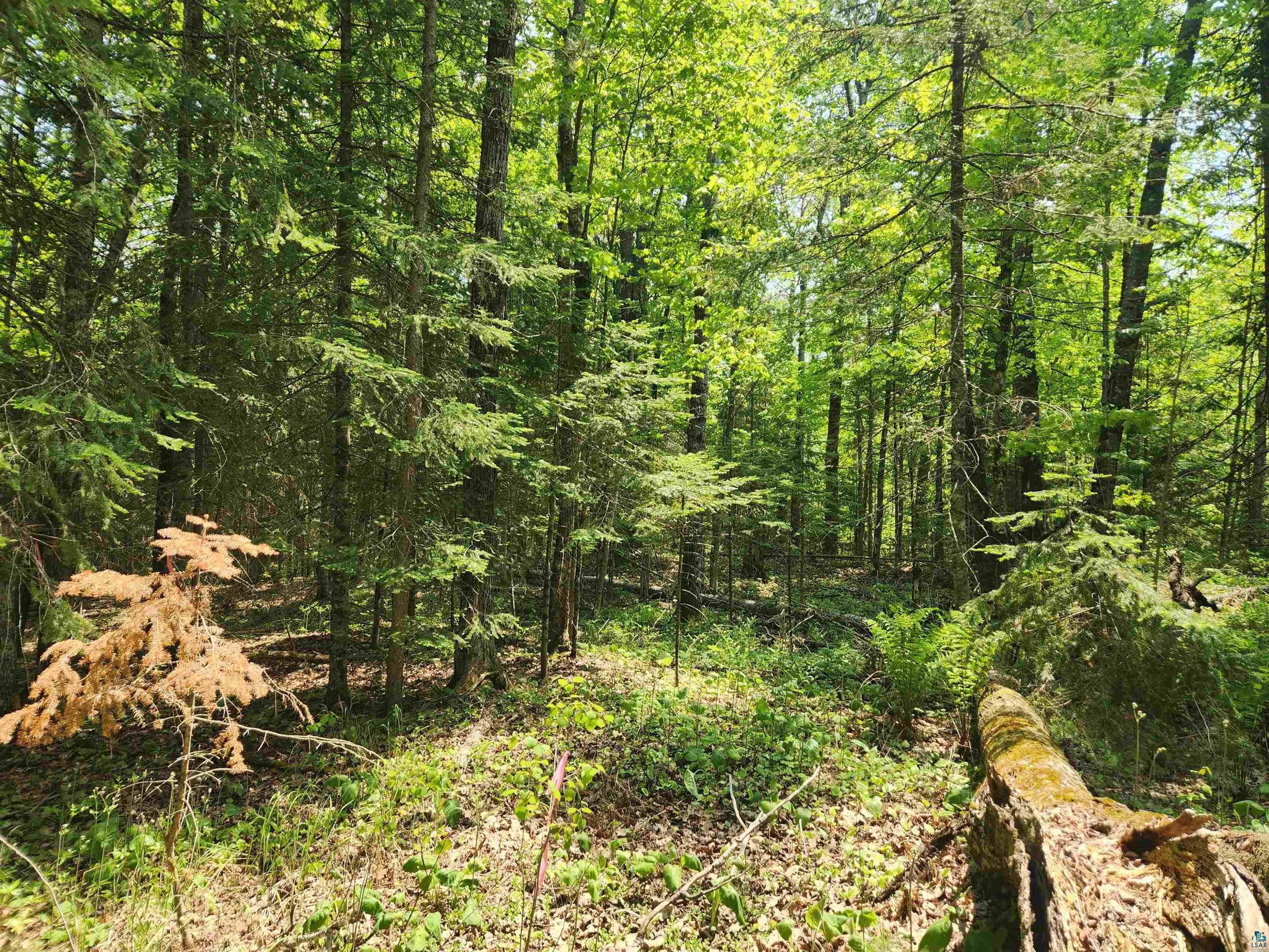 Xxx McCulloch Road Washburn, WI 54891 - Photo 27 of 33 Gallery Image 27