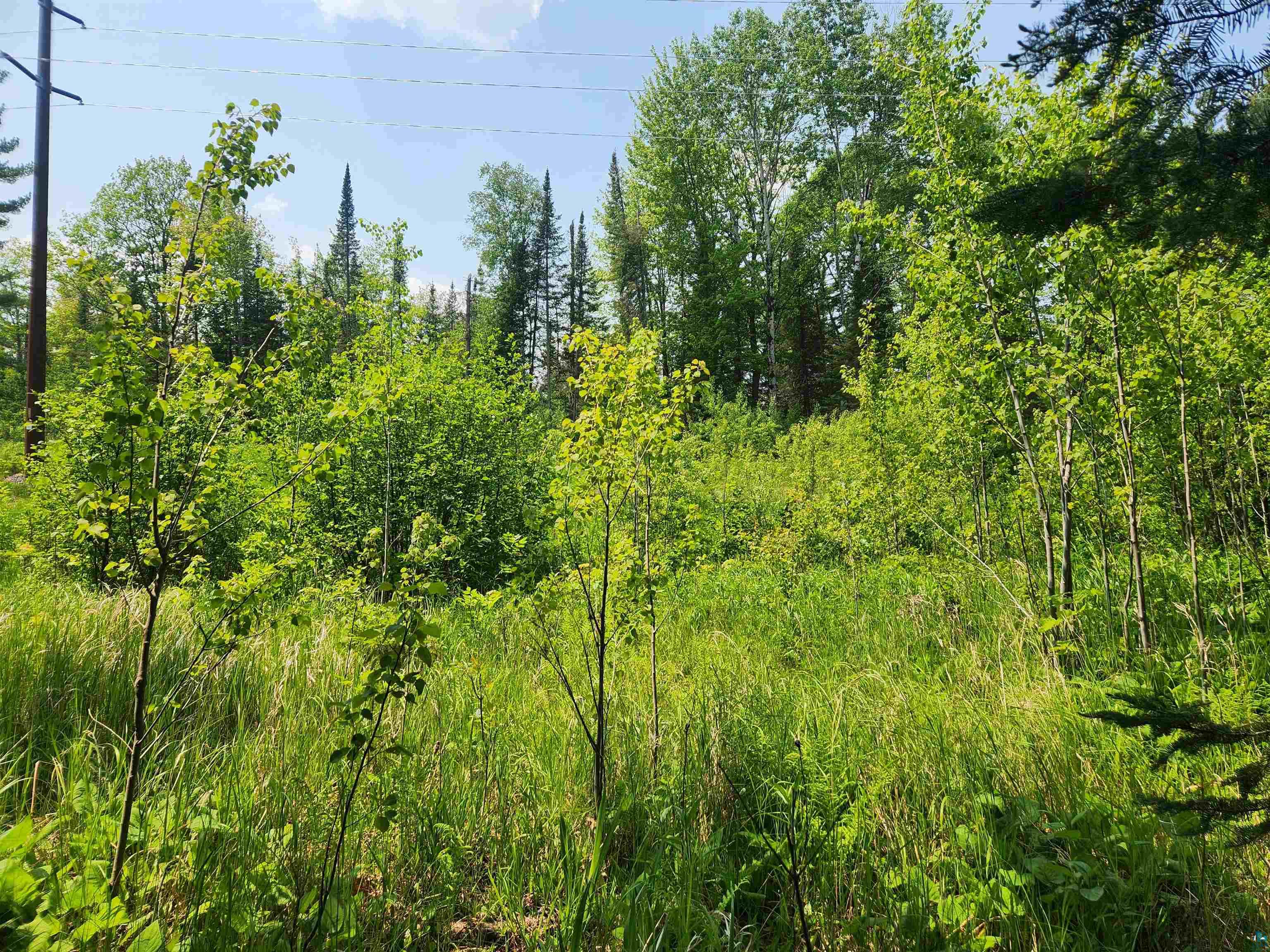 Xxx McCulloch Road Washburn, WI 54891 - Photo 33 of 33 Gallery Image 33