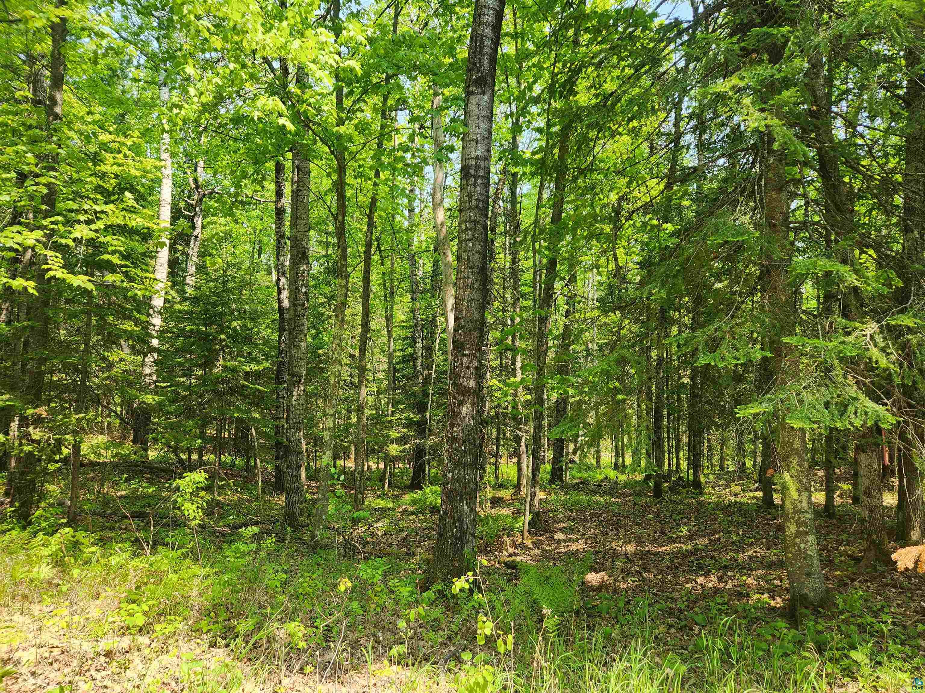 Xxx McCulloch Road Washburn, WI 54891 - Photo 4 of 33 Gallery Image 4