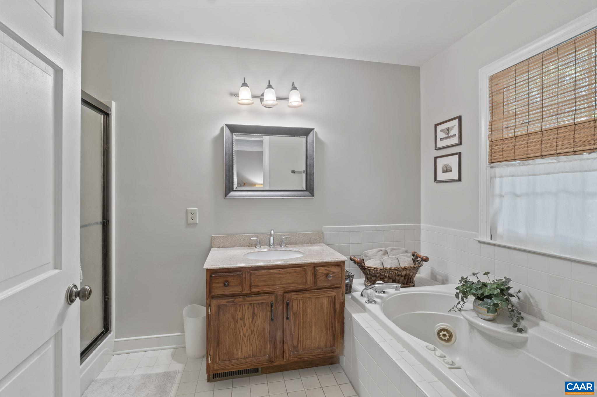 2 Whippoorwill Lane Palmyra, VA 22963 - Photo 18 of 36 a bathroom with a sink and a bathtub