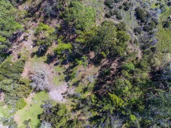 a big yard with lots of green space