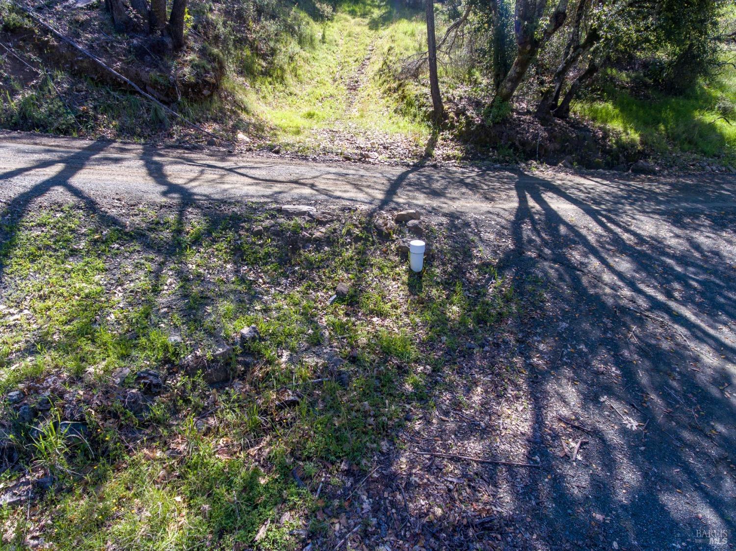 7935 St Helena Road Santa Rosa, CA 95404 - Photo 20 of 42 a view of a yard with plants and a tree