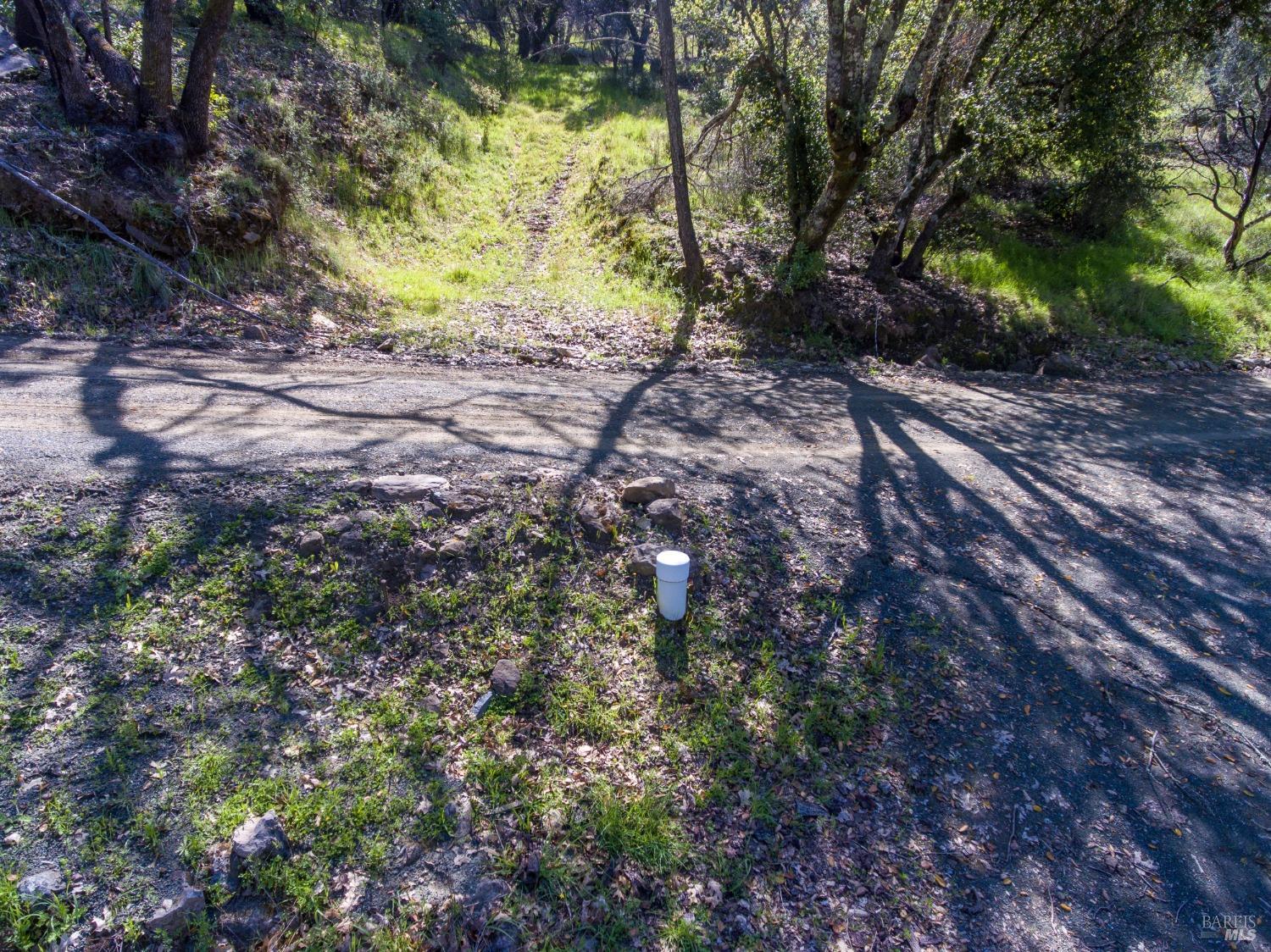 7935 St Helena Road Santa Rosa, CA 95404 - Photo 21 of 42 a big yard with lots of green space