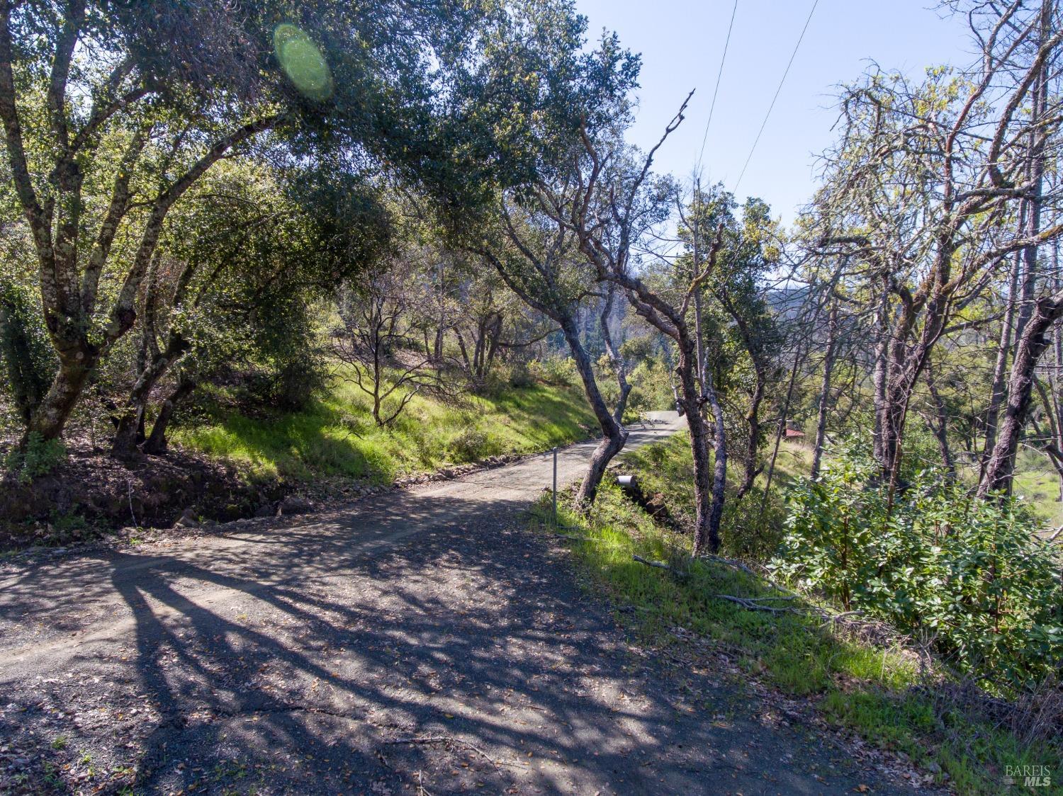 7935 St Helena Road Santa Rosa, CA 95404 - Photo 22 of 42 a view of a forest filled with trees