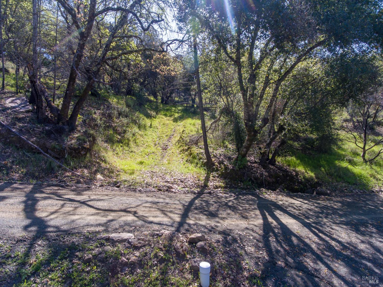 7935 St Helena Road Santa Rosa, CA 95404 - Photo 24 of 42 a view of a yard with large trees