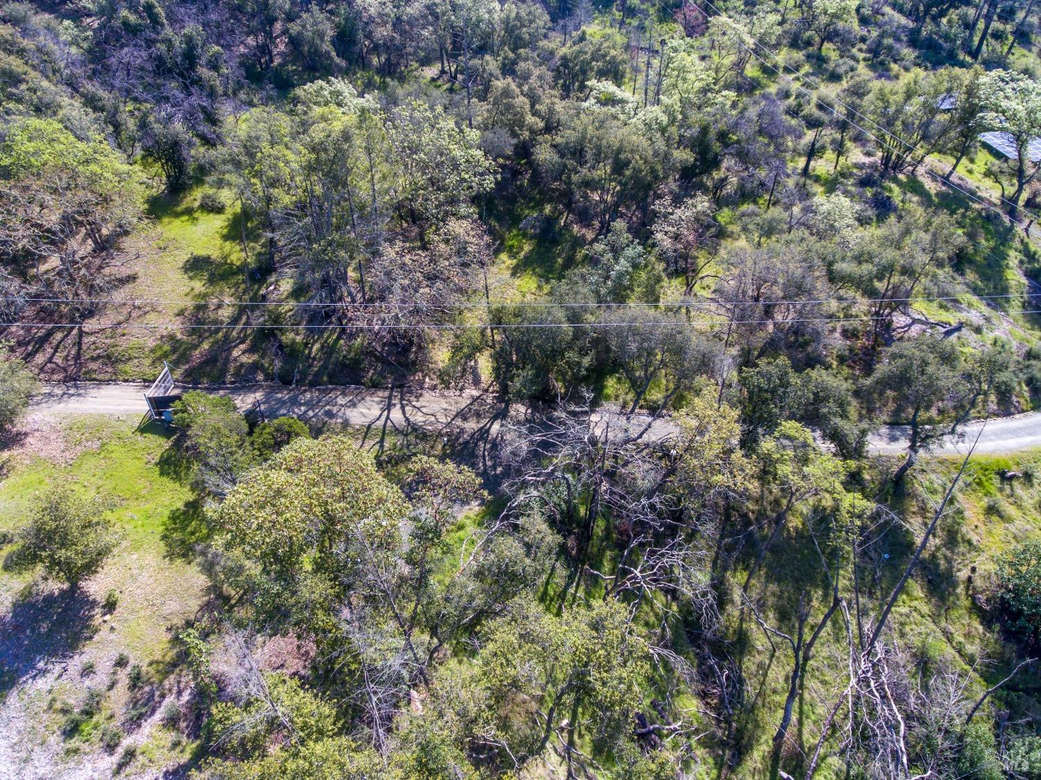 7935 St Helena Road Santa Rosa, CA 95404 - Photo 25 of 42 a view of a forest with a tree