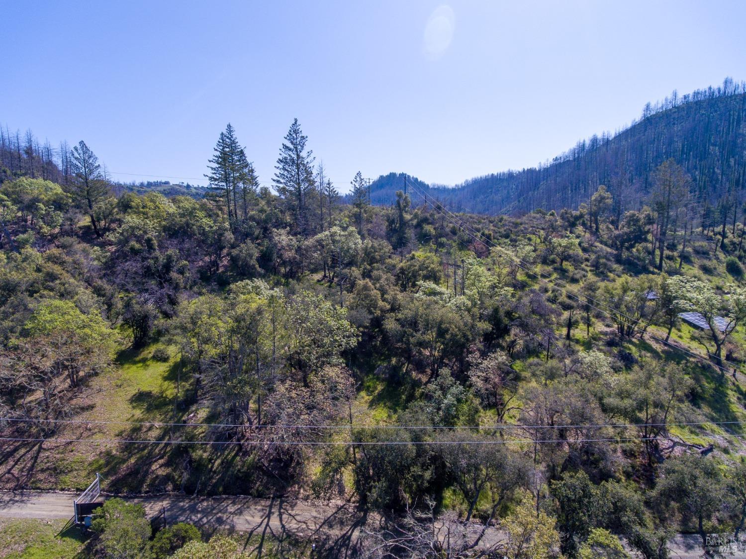 7935 St Helena Road Santa Rosa, CA 95404 - Photo 26 of 42 a view of a forest with a house in a background