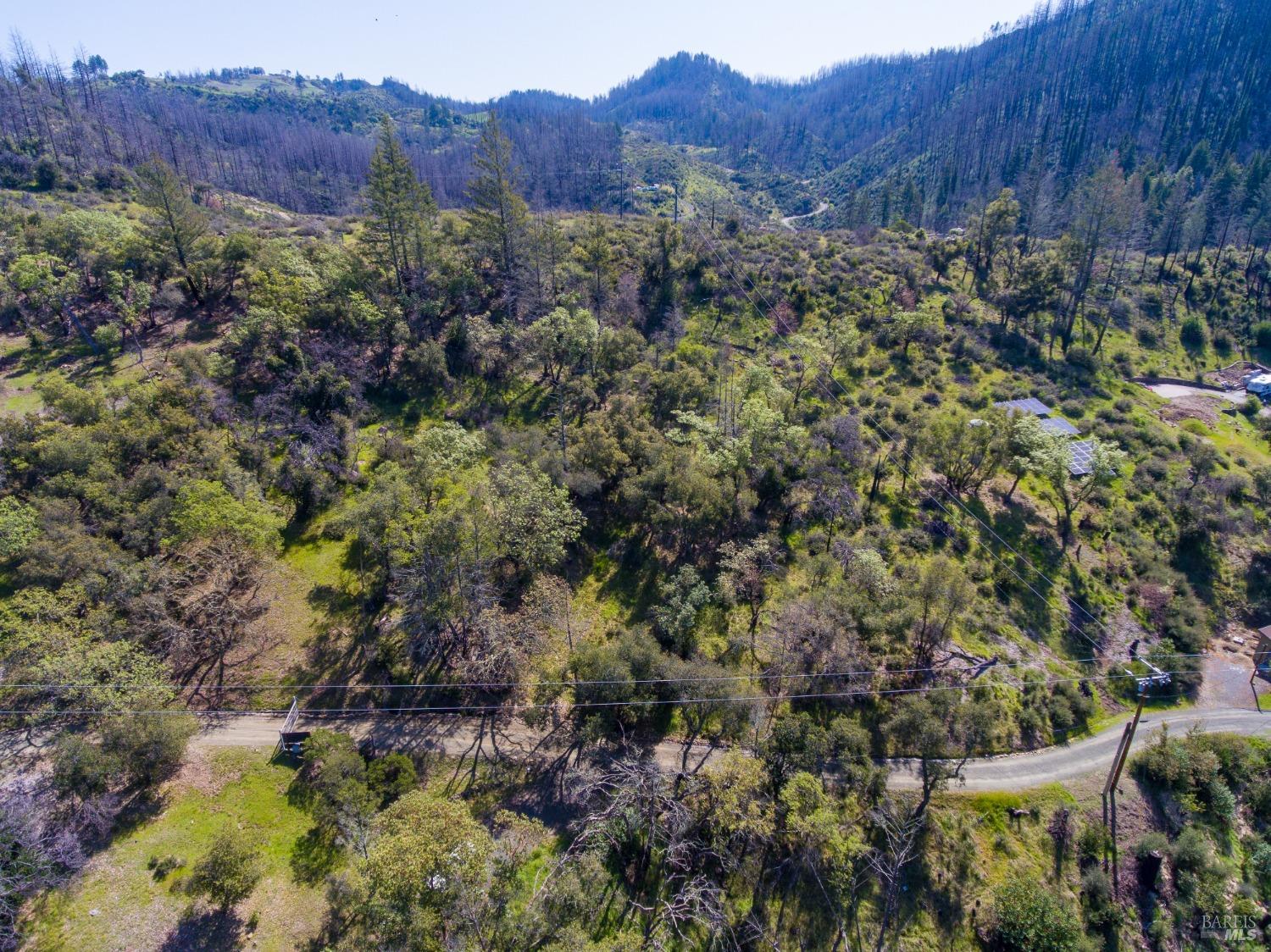 7935 St Helena Road Santa Rosa, CA 95404 - Photo 27 of 42 a view of a forest with a tree in a field