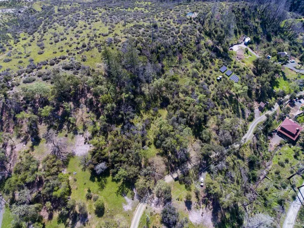 a view of a yard with a dry yard