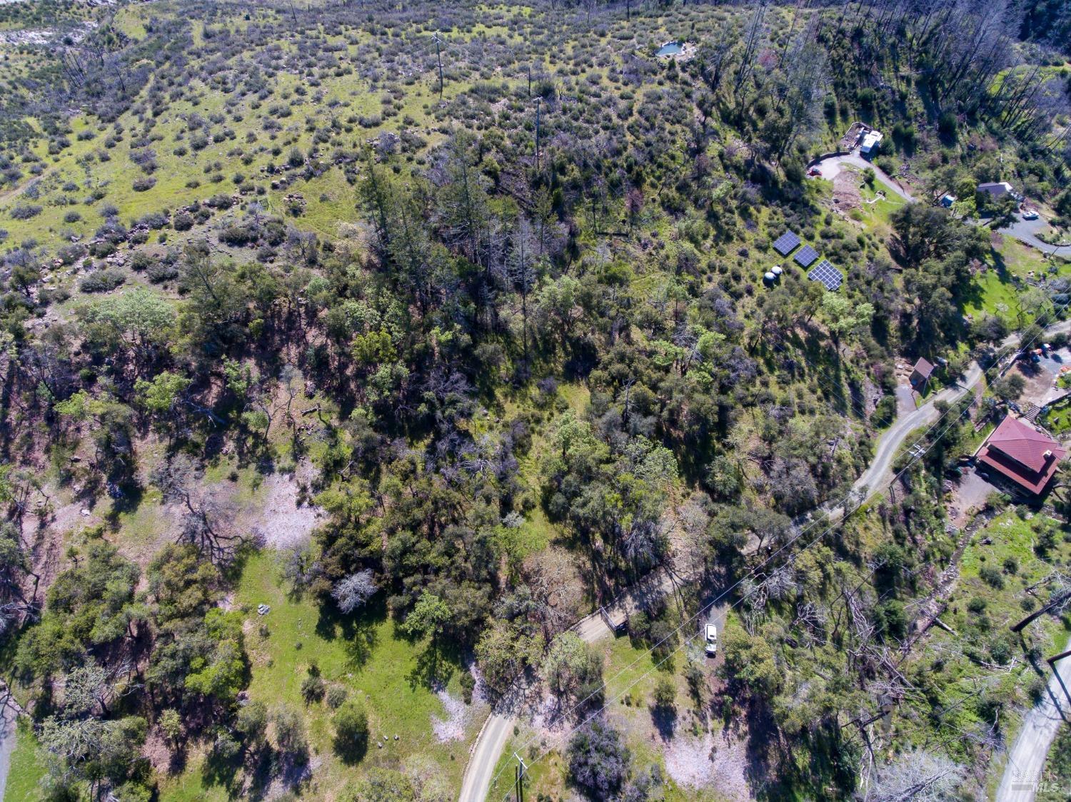 7935 St Helena Road Santa Rosa, CA 95404 - Photo 30 of 42 a view of a forest