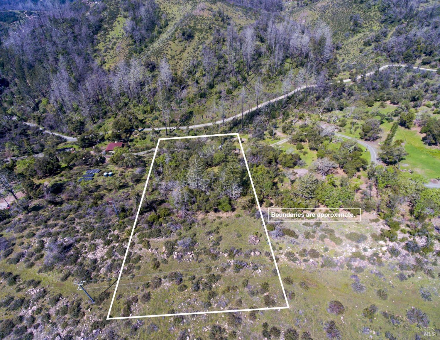 7935 St Helena Road Santa Rosa, CA 95404 - Photo 3 of 42 a view of a forest