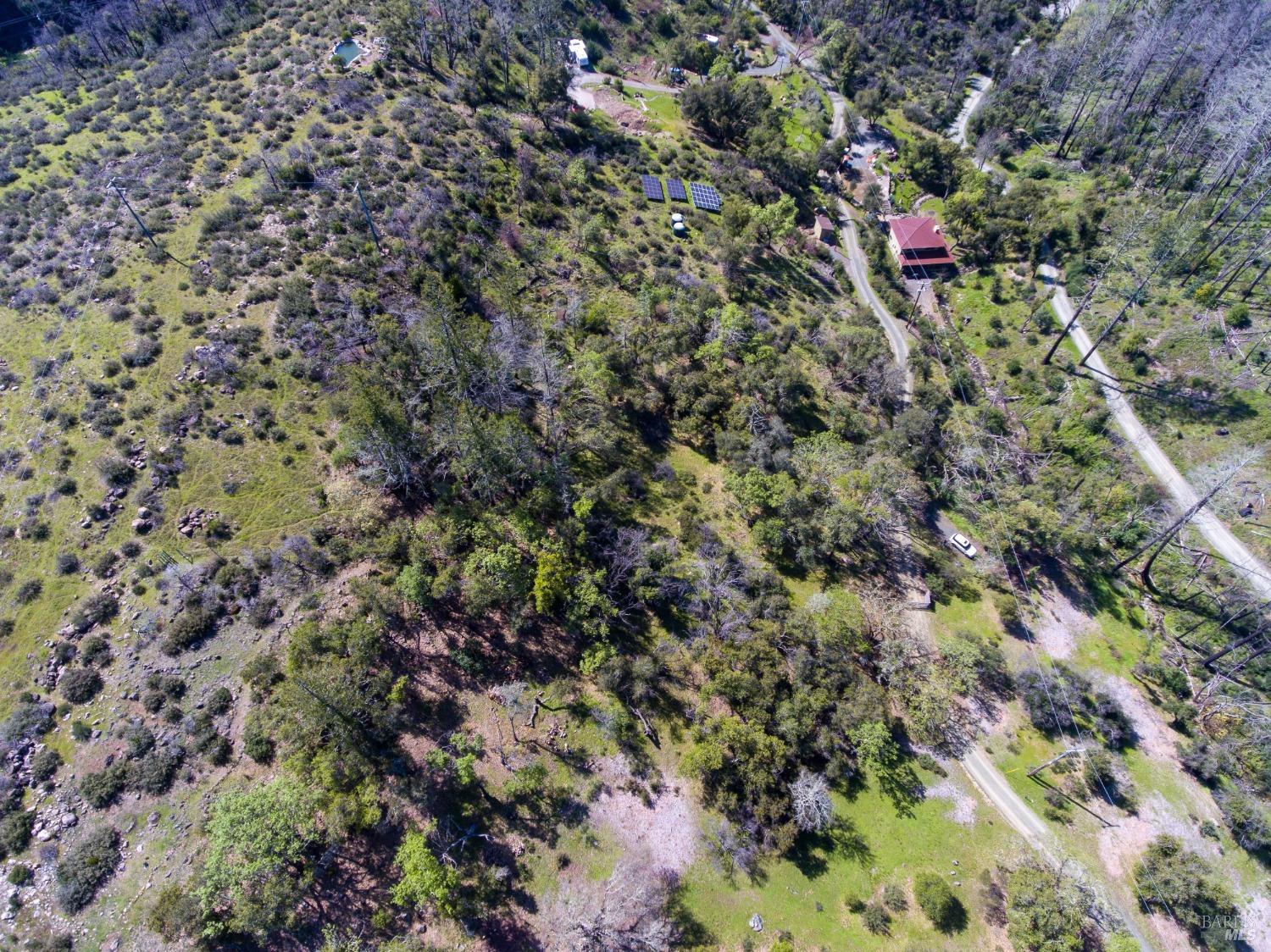 7935 St Helena Road Santa Rosa, CA 95404 - Photo 31 of 42 a view of a forest with a tree