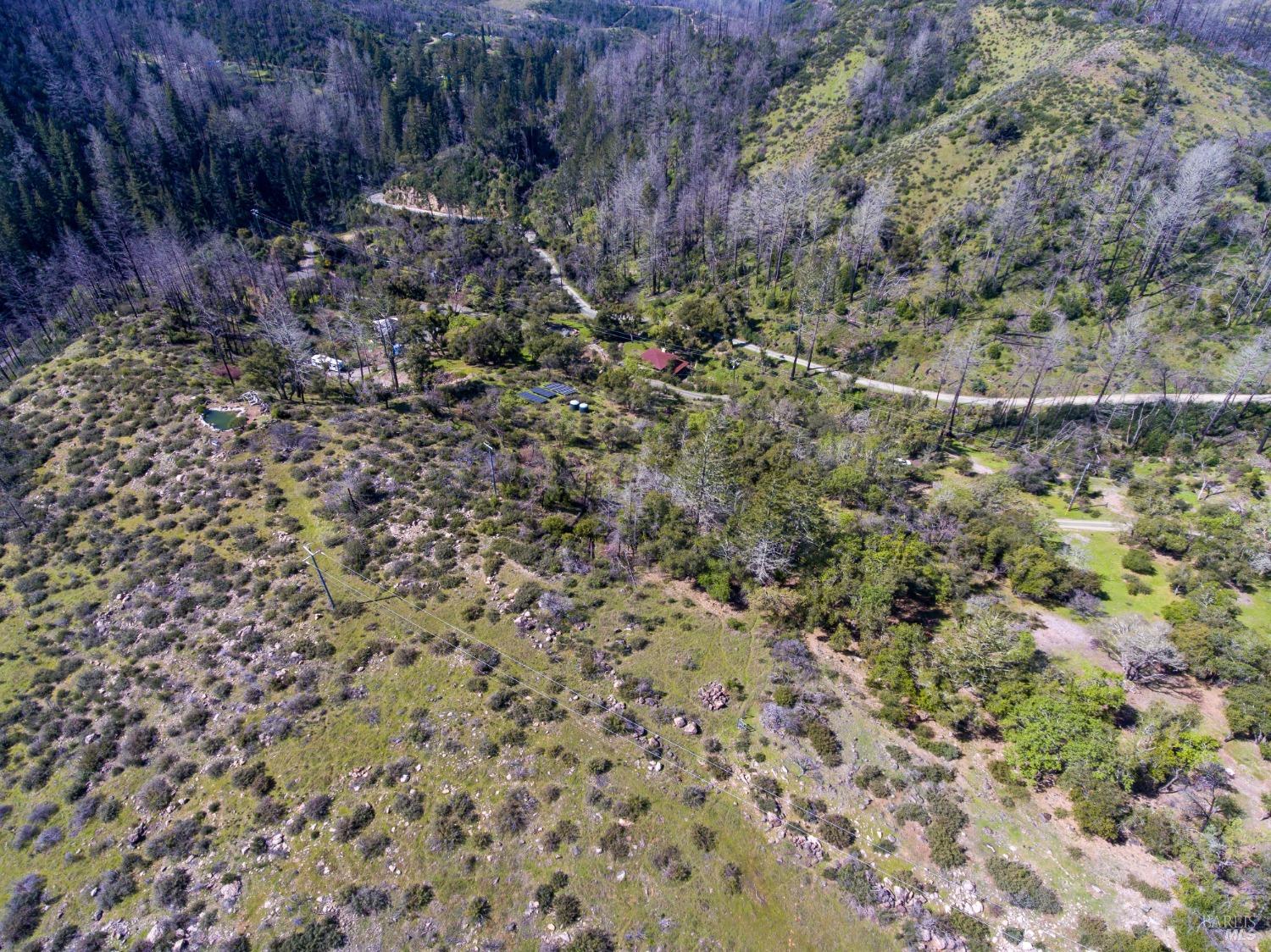 7935 St Helena Road Santa Rosa, CA 95404 - Photo 32 of 42 a view of a yard with a dry yard