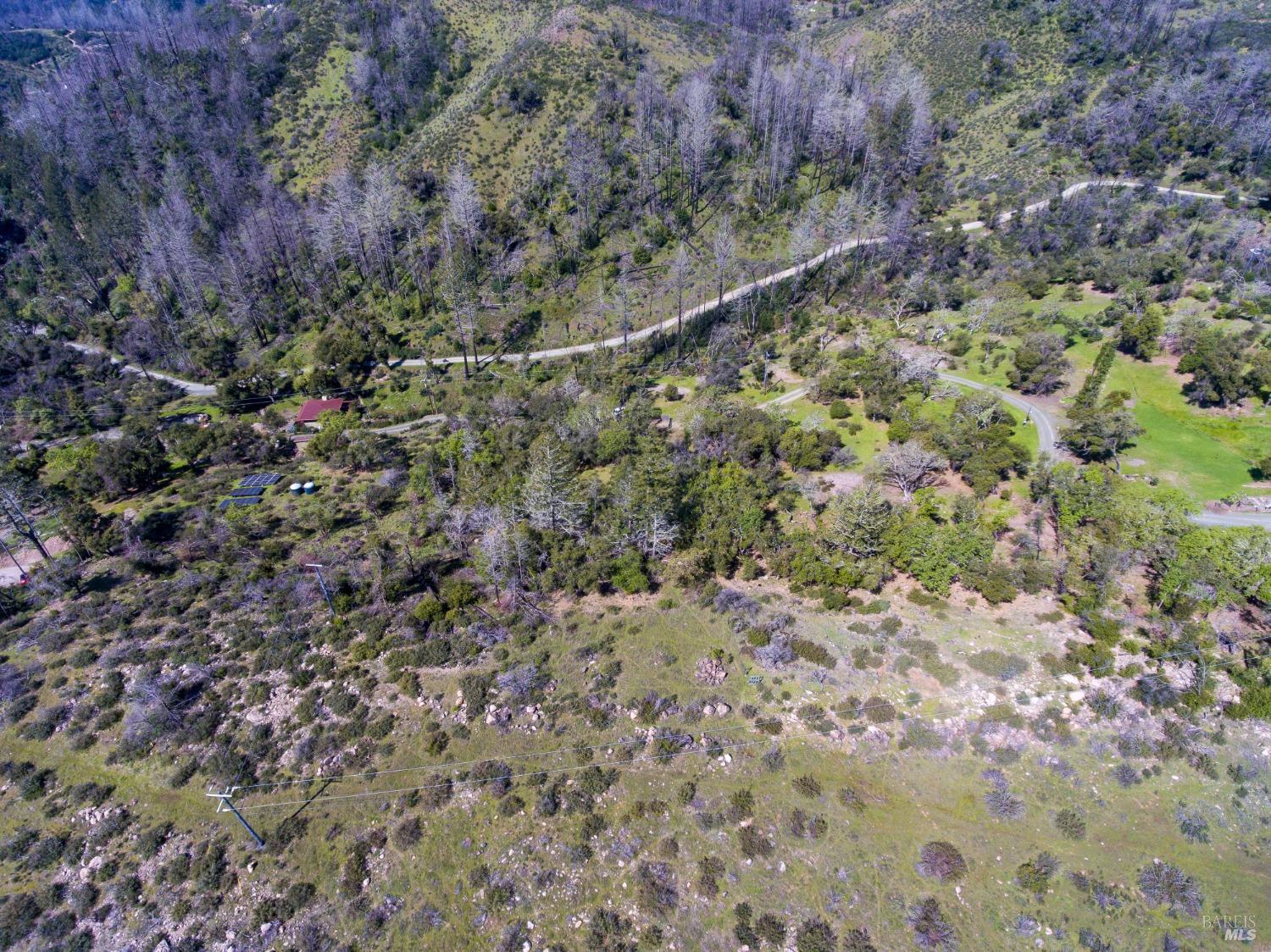 7935 St Helena Road Santa Rosa, CA 95404 - Photo 33 of 42 a view of a lush green forest with trees