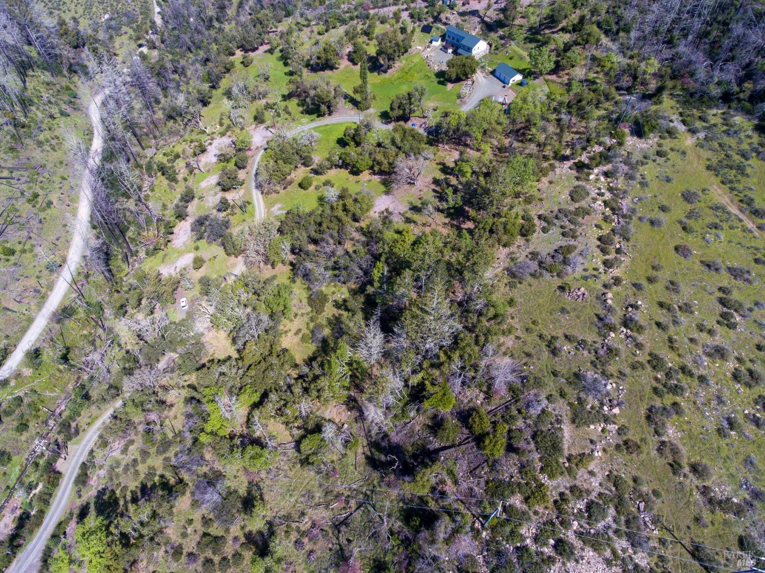 7935 St Helena Road Santa Rosa, CA 95404 - Photo 35 of 42 a view of a plant