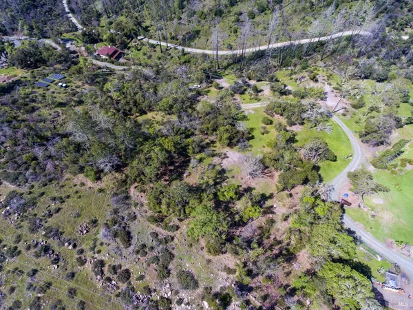 a view of a yard with a tree