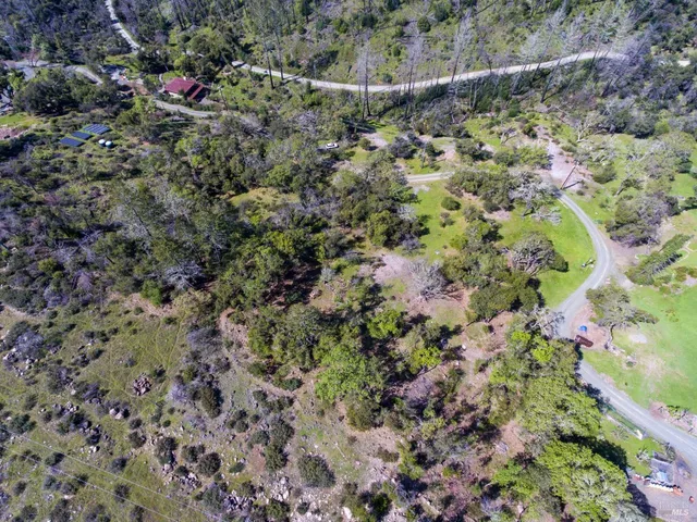 a view of a yard with a tree