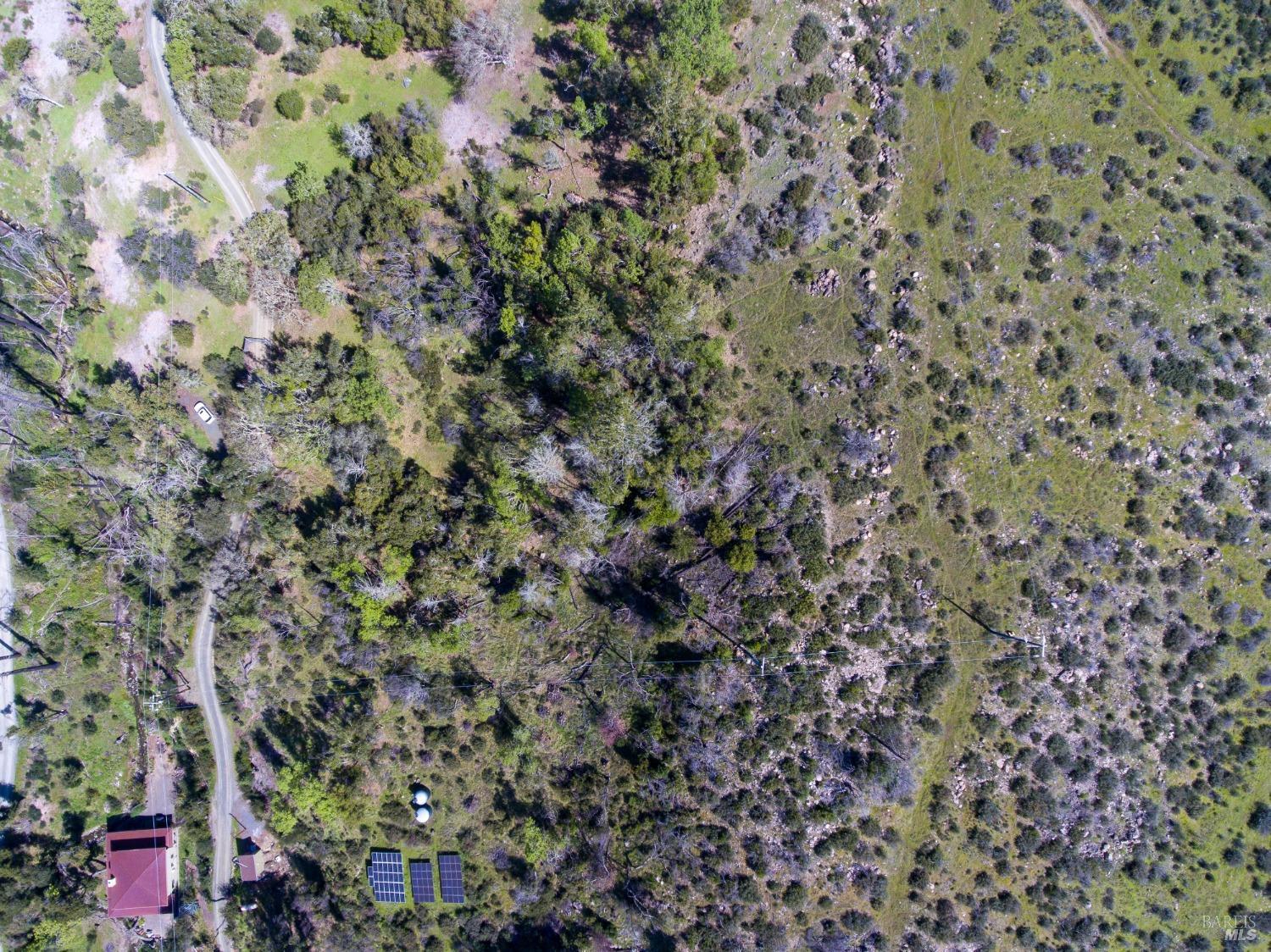 7935 St Helena Road Santa Rosa, CA 95404 - Photo 38 of 42 a view of a yard with a tree