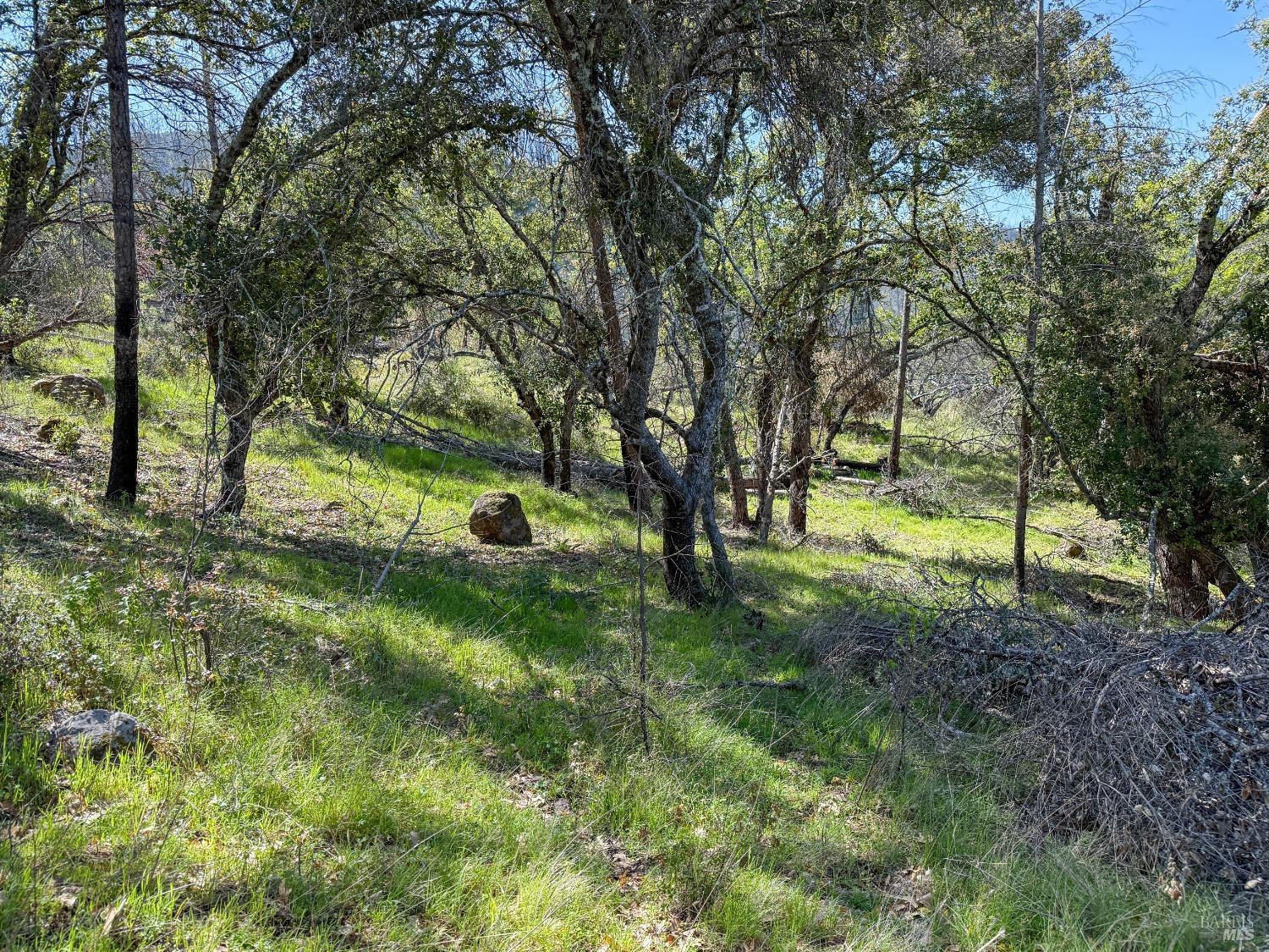 7935 St Helena Road Santa Rosa, CA 95404 - Photo 9 of 42 a view of outdoor space with trees all around