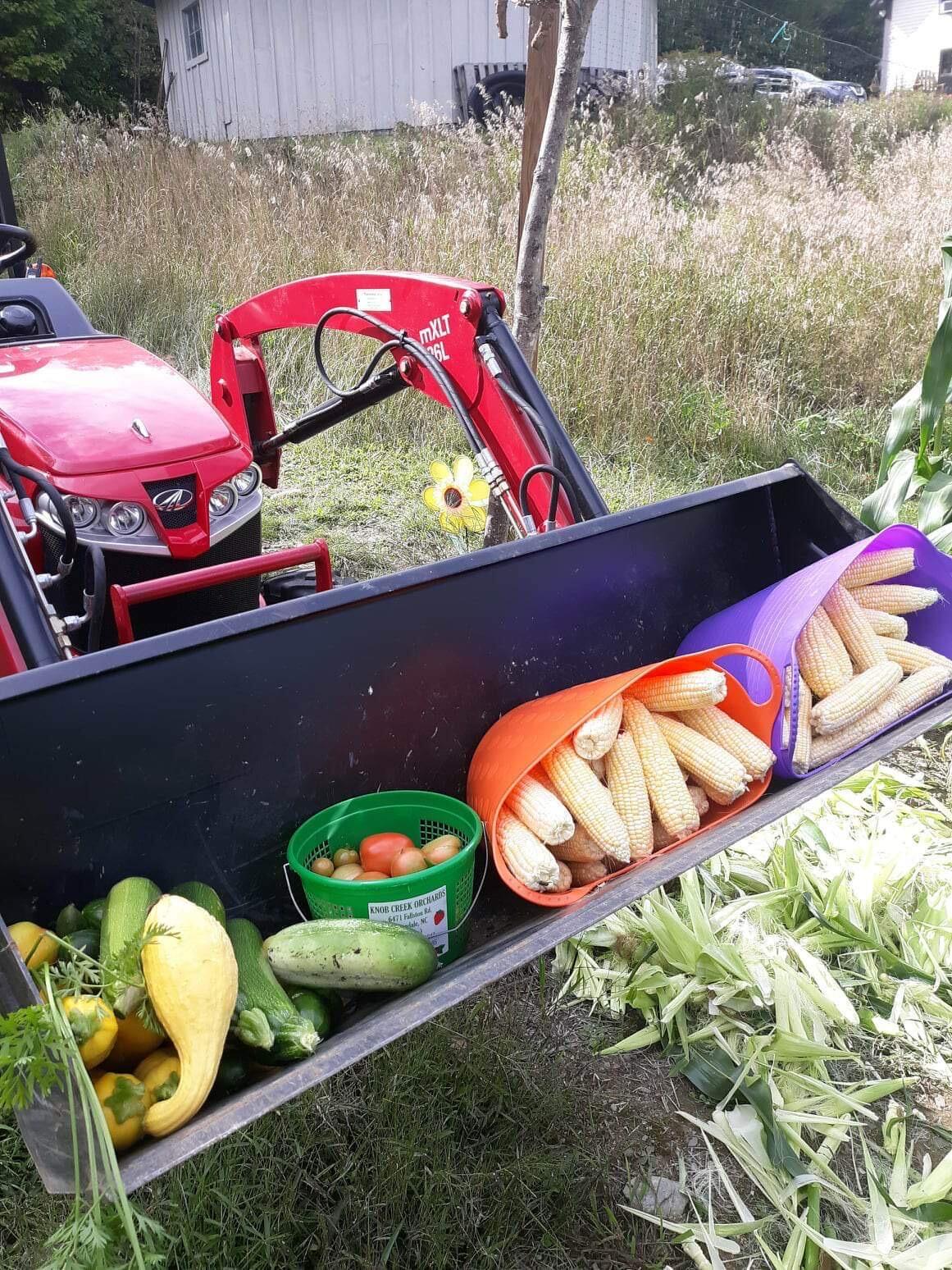 32 Holman Road Rangeley, ME 04970 - Photo 35 of 41 Veggies
