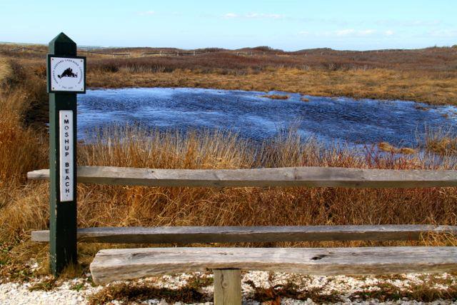 4 South Road Aquinnah, MA 02535 - Photo 11 of 12 Gallery Image 11