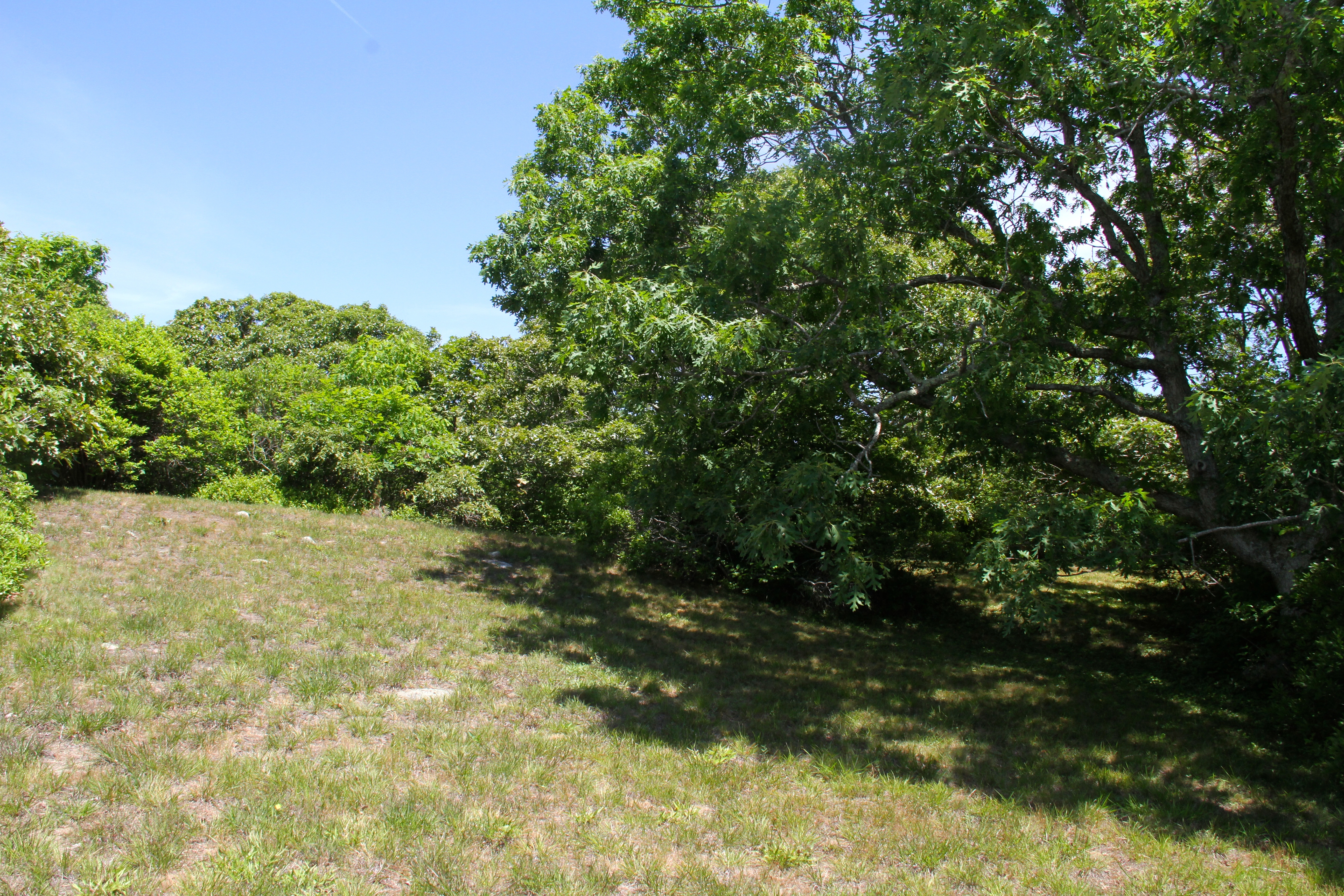 4 South Road Aquinnah, MA 02535 - Photo 3 of 12 Gallery Image 3