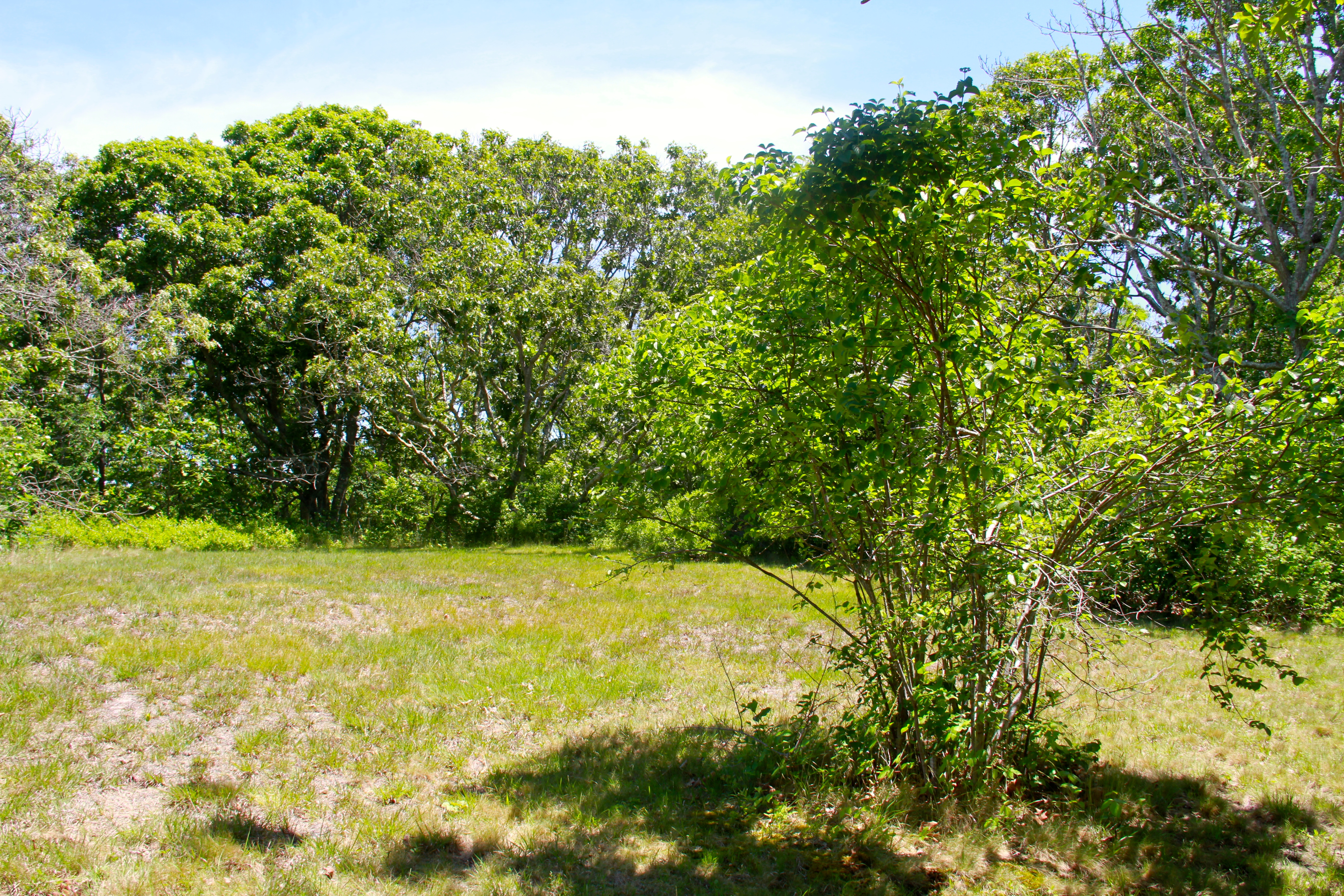4 South Road Aquinnah, MA 02535 - Photo 8 of 12 Gallery Image 8