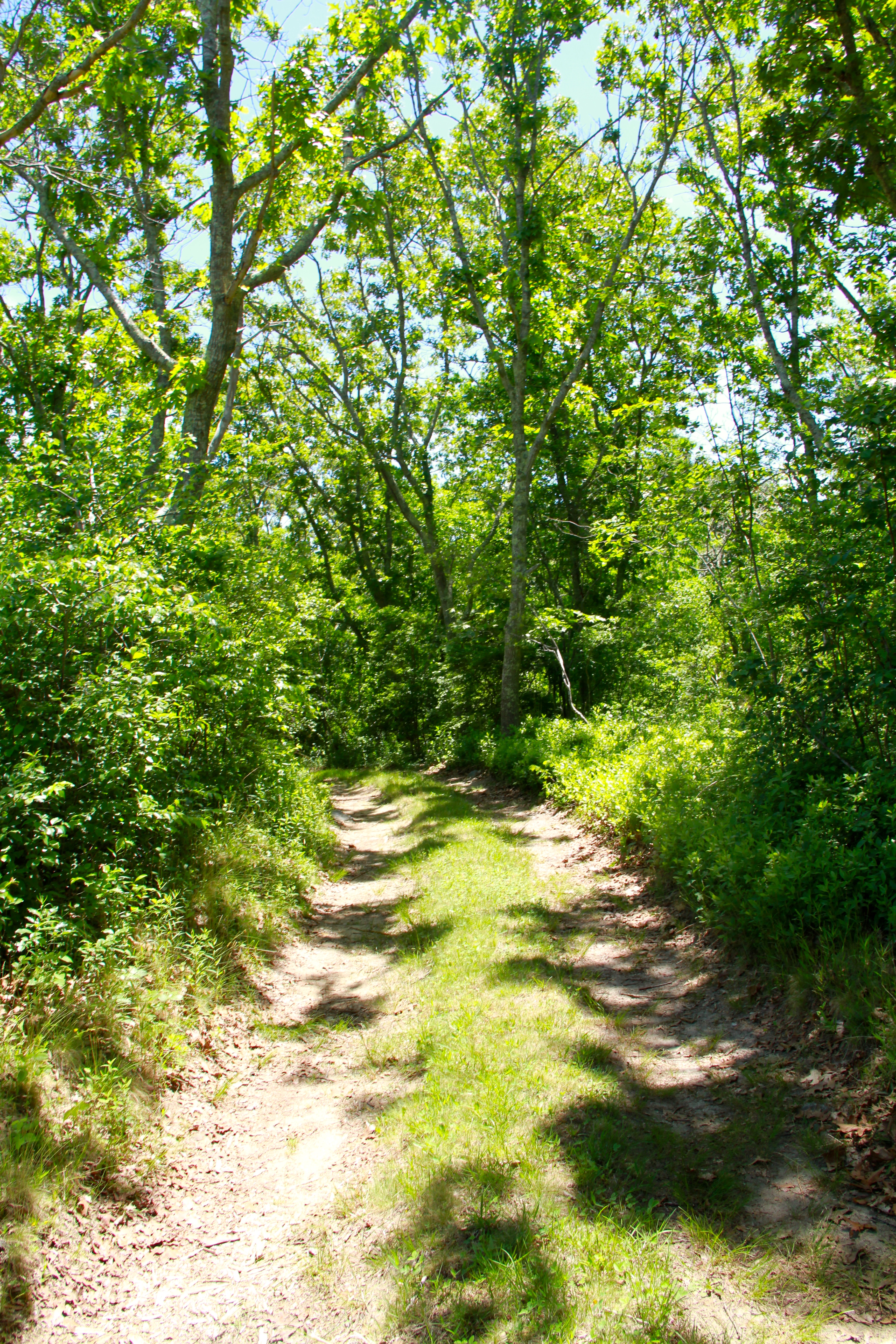 4 South Road Aquinnah, MA 02535 - Photo 10 of 12 Gallery Image 10