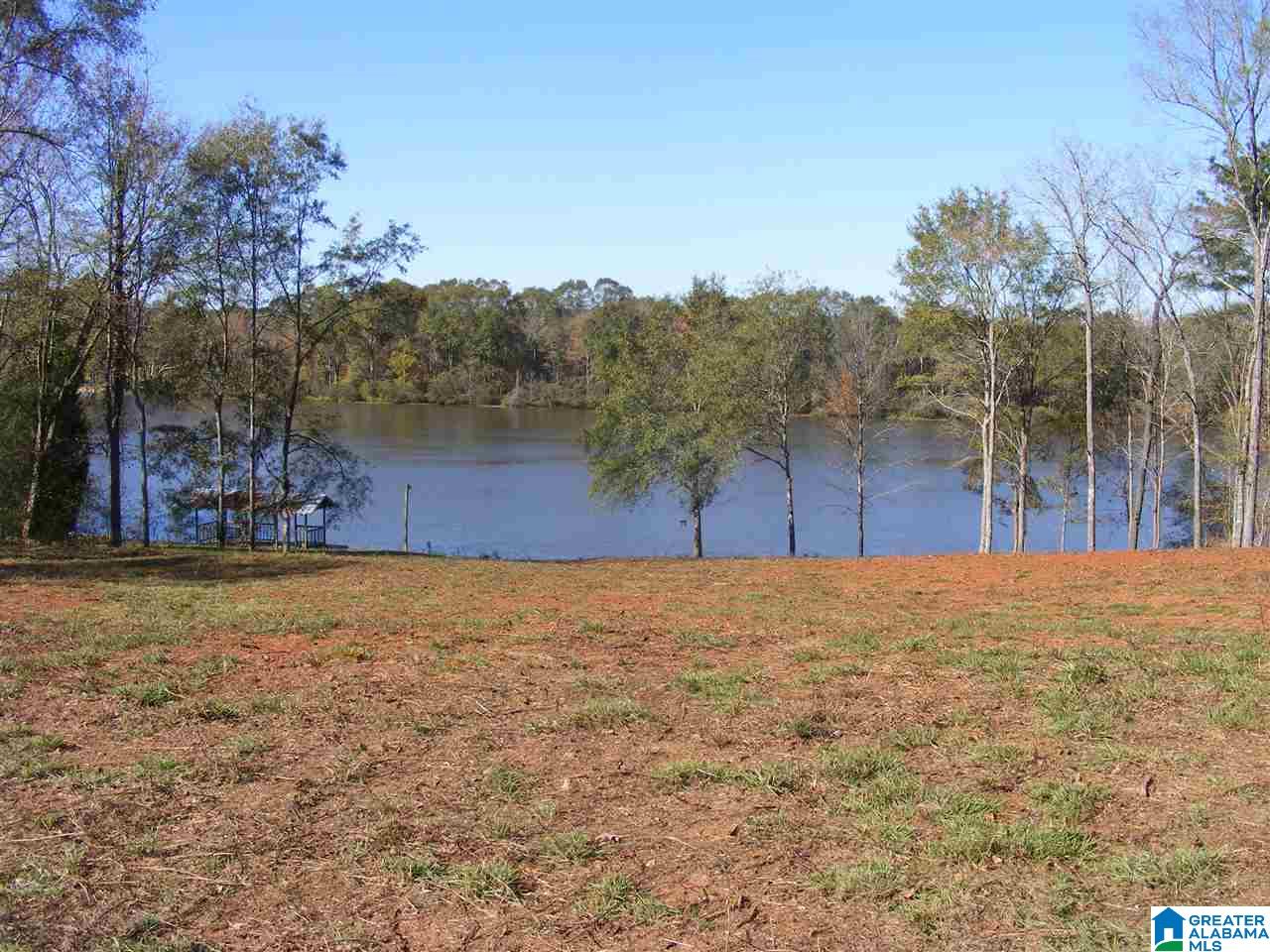 8229 McGowans Ferry Road Childersburg, AL 35044 - Photo 1 of 7