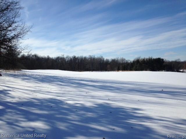 0 Hartland Road Hartland, MI 48353 - Photo 3 of 4 03.jpg