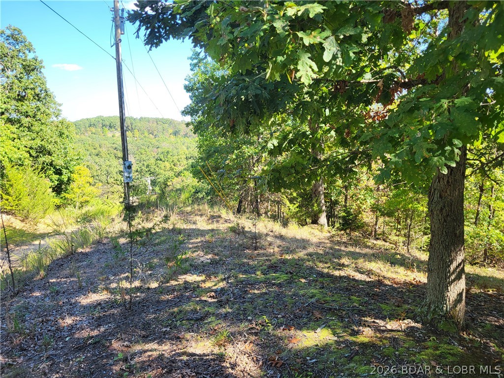 32534 Compromise Road Gravois Mills, MO 65037 - Photo 1 of 12
