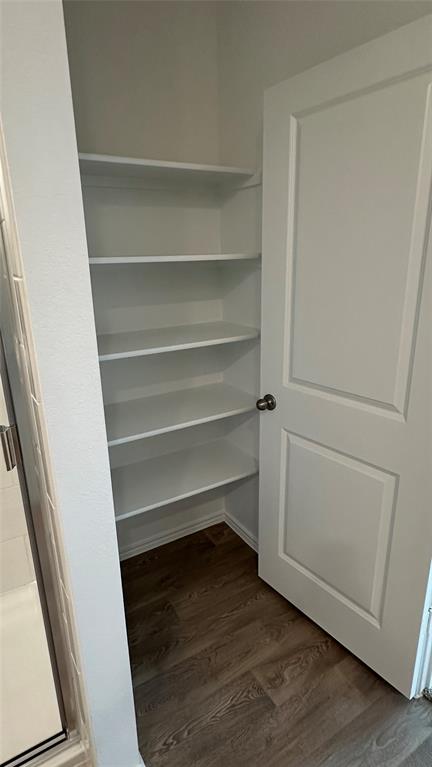 204 Inks Lane Kyle, TX 78640 - Photo 13 of 25 A deep pantry with multiple built-in shelves provides ample storage space.