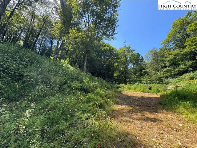 a view of an outdoor space