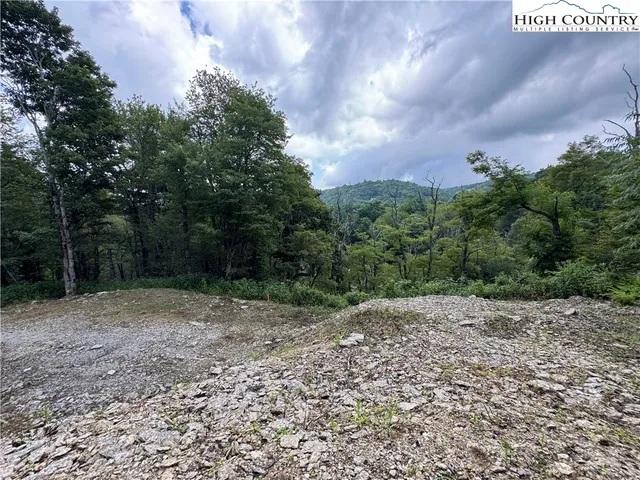 a view of a dry yard with trees