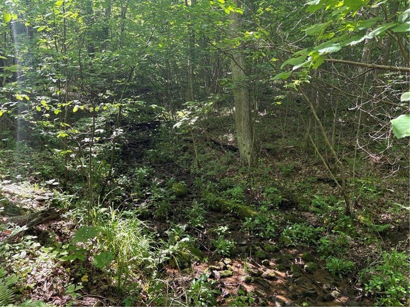 0 Fowl Hill Road Champion, PA 15622 - Photo 2 of 3