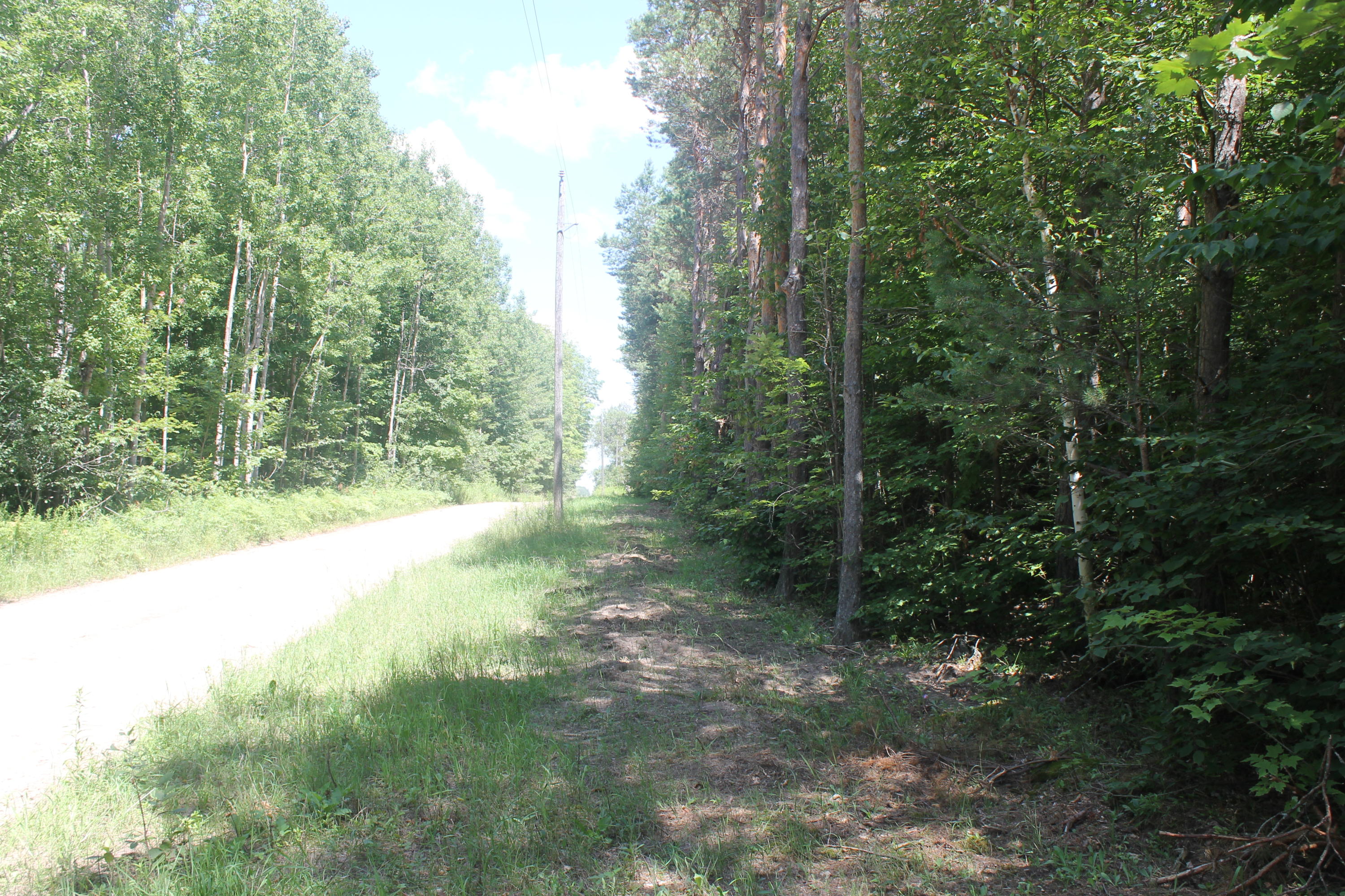 0 Sherman Road Grayling, MI 49738 - Photo 4 of 6 Gallery Image 4