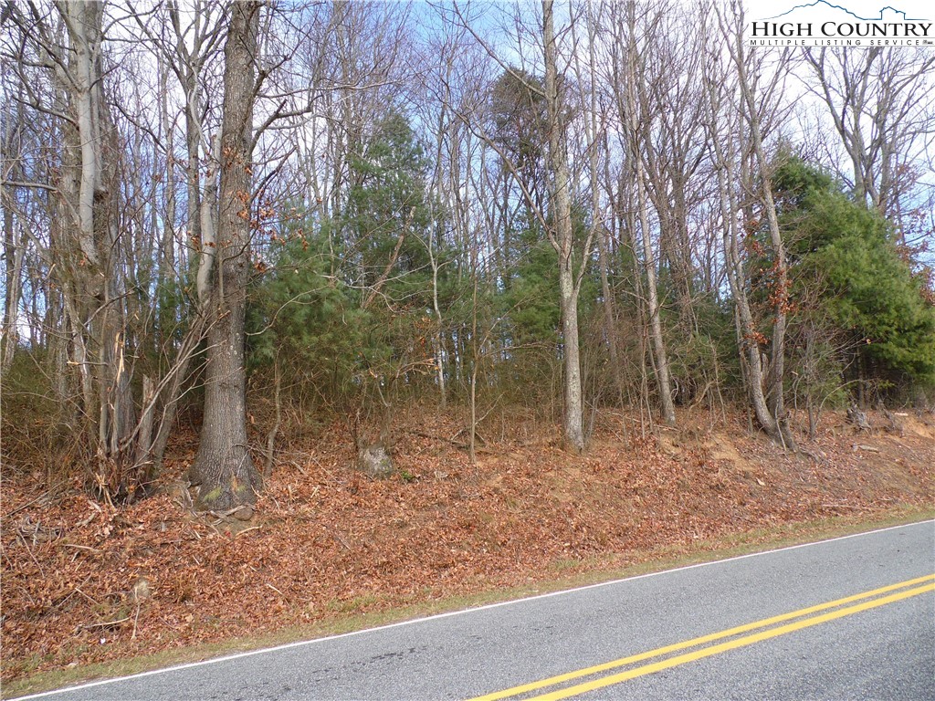 Tedder Road Sparta, NC 28675 - Photo 2 of 28 a view of a forest filled with trees