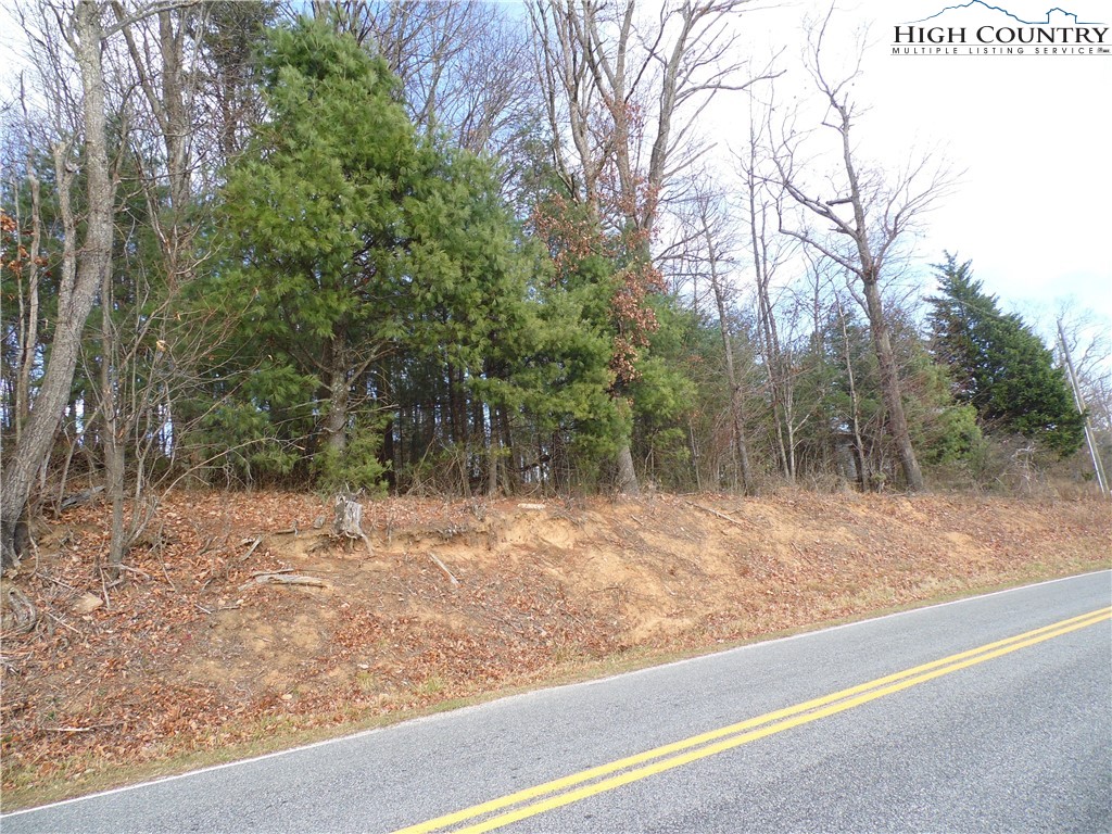 Tedder Road Sparta, NC 28675 - Photo 9 of 28 a view of a yard with large trees